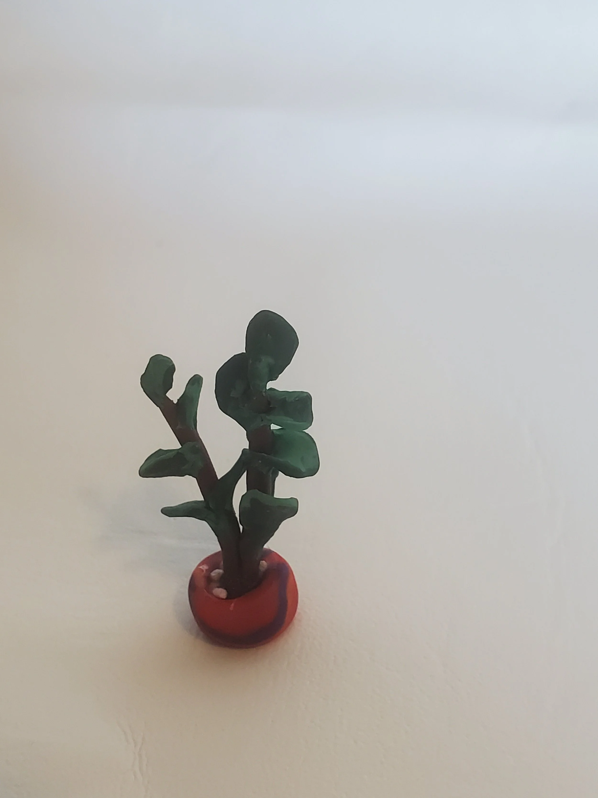 20260301_160437.jpg