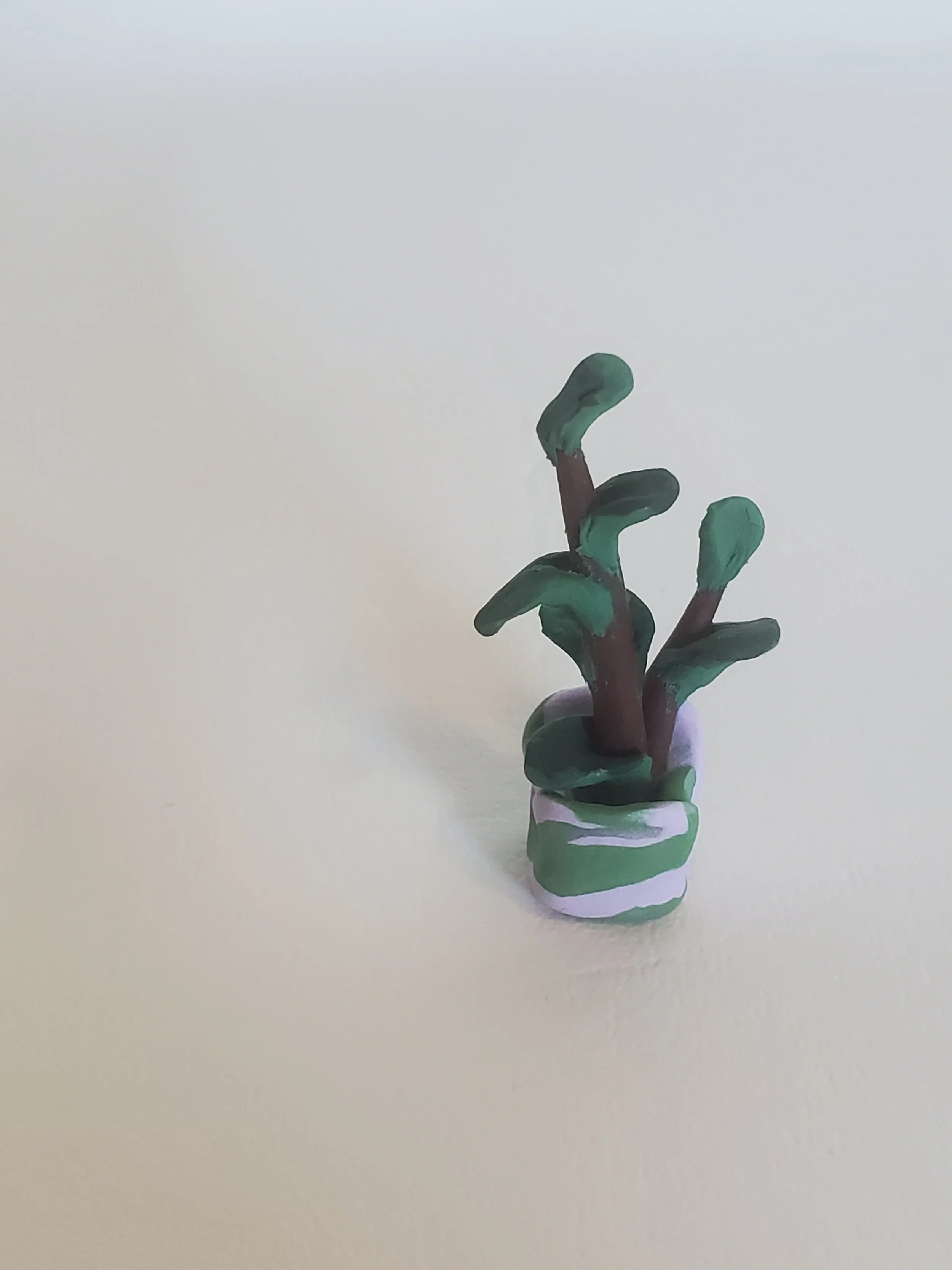 20260301_160237.jpg