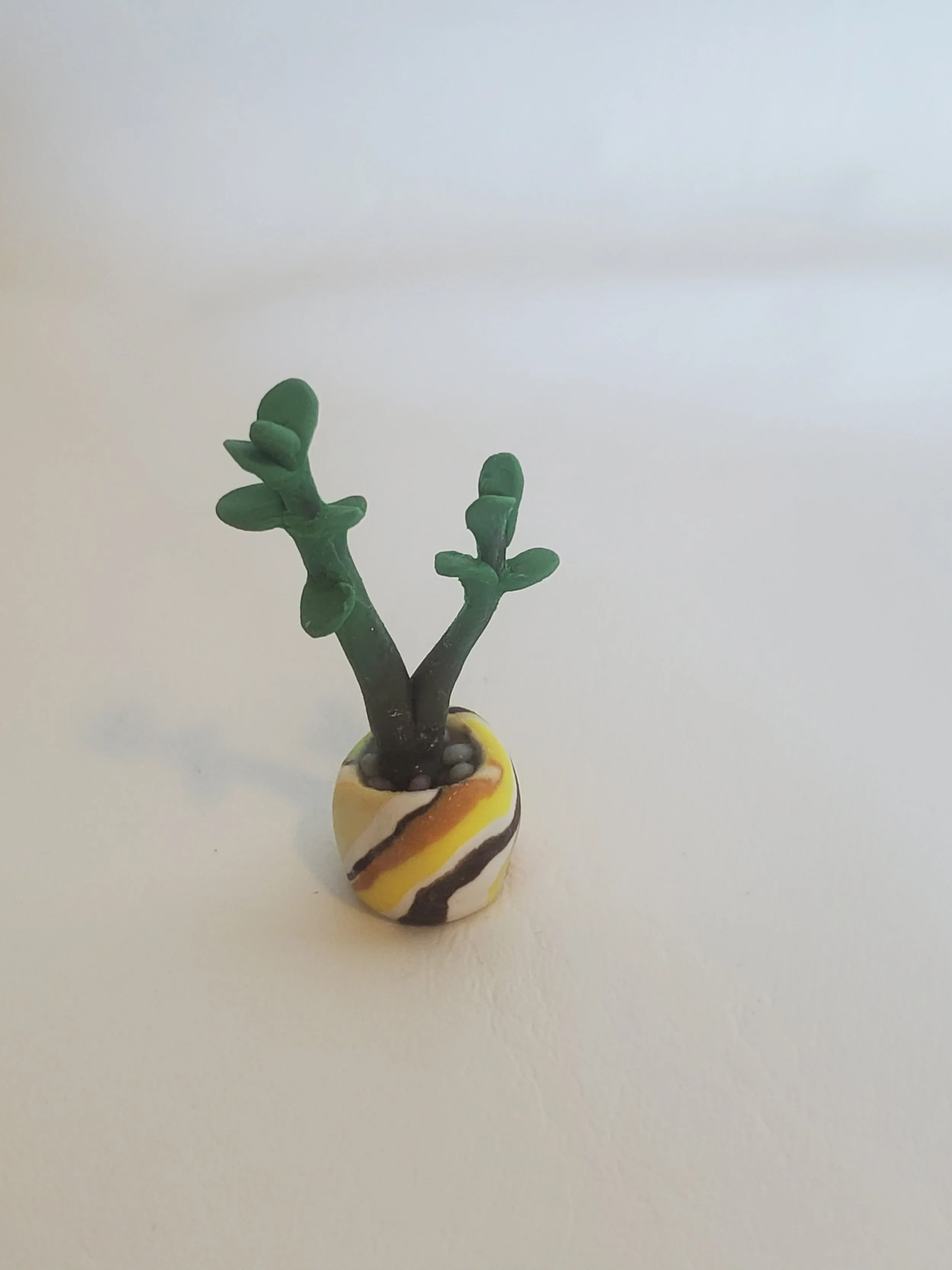 20260301_160517.jpg