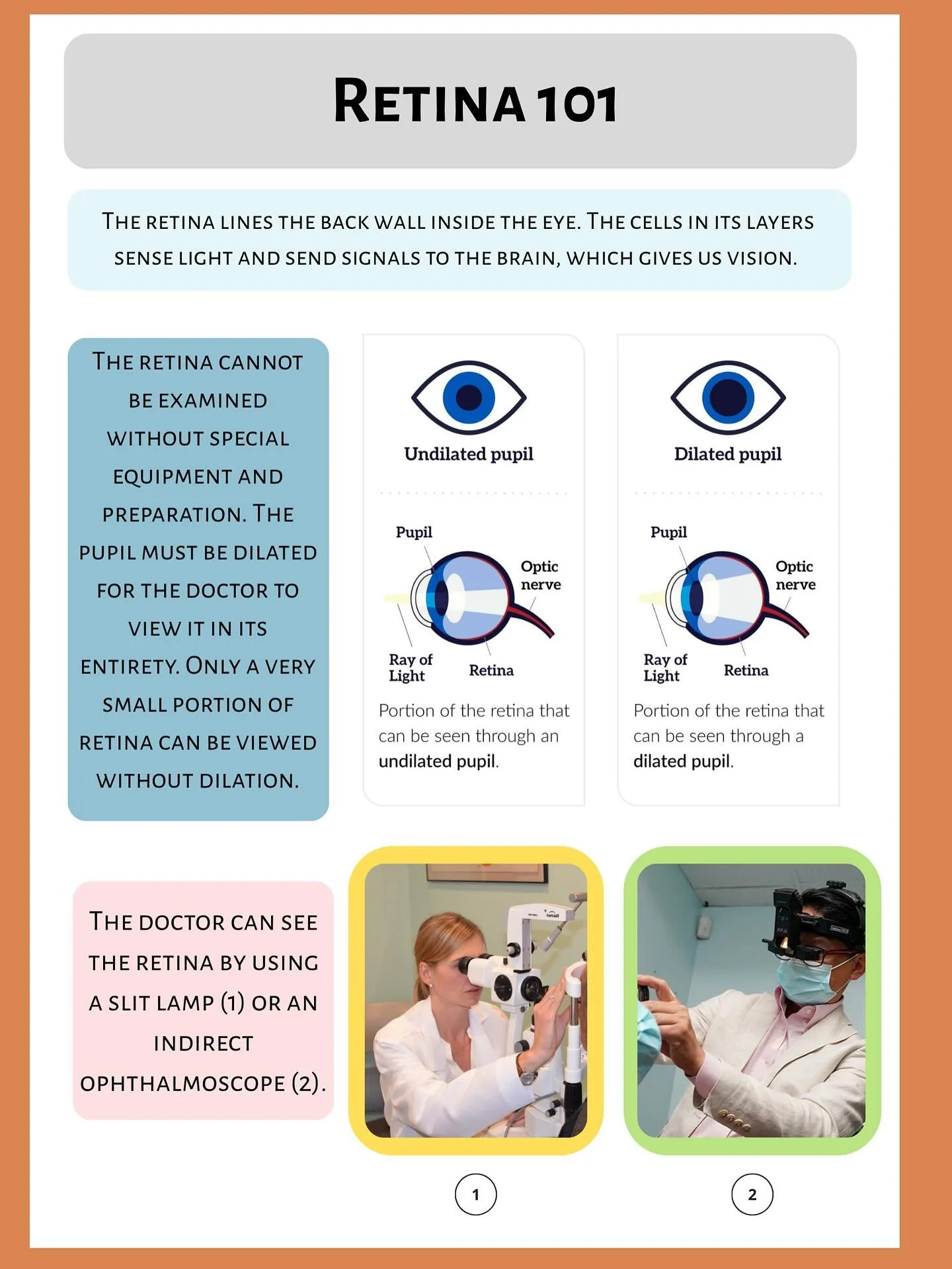 Tuesday Talks🎙️

Retina 101 👁️
Let&rsquo;s talk about the retina &ndash; the powerhouse at the back of your eye that turns light into vision. 

From detecting light and color to helping you read, drive, and recognize faces, the retina is where visi