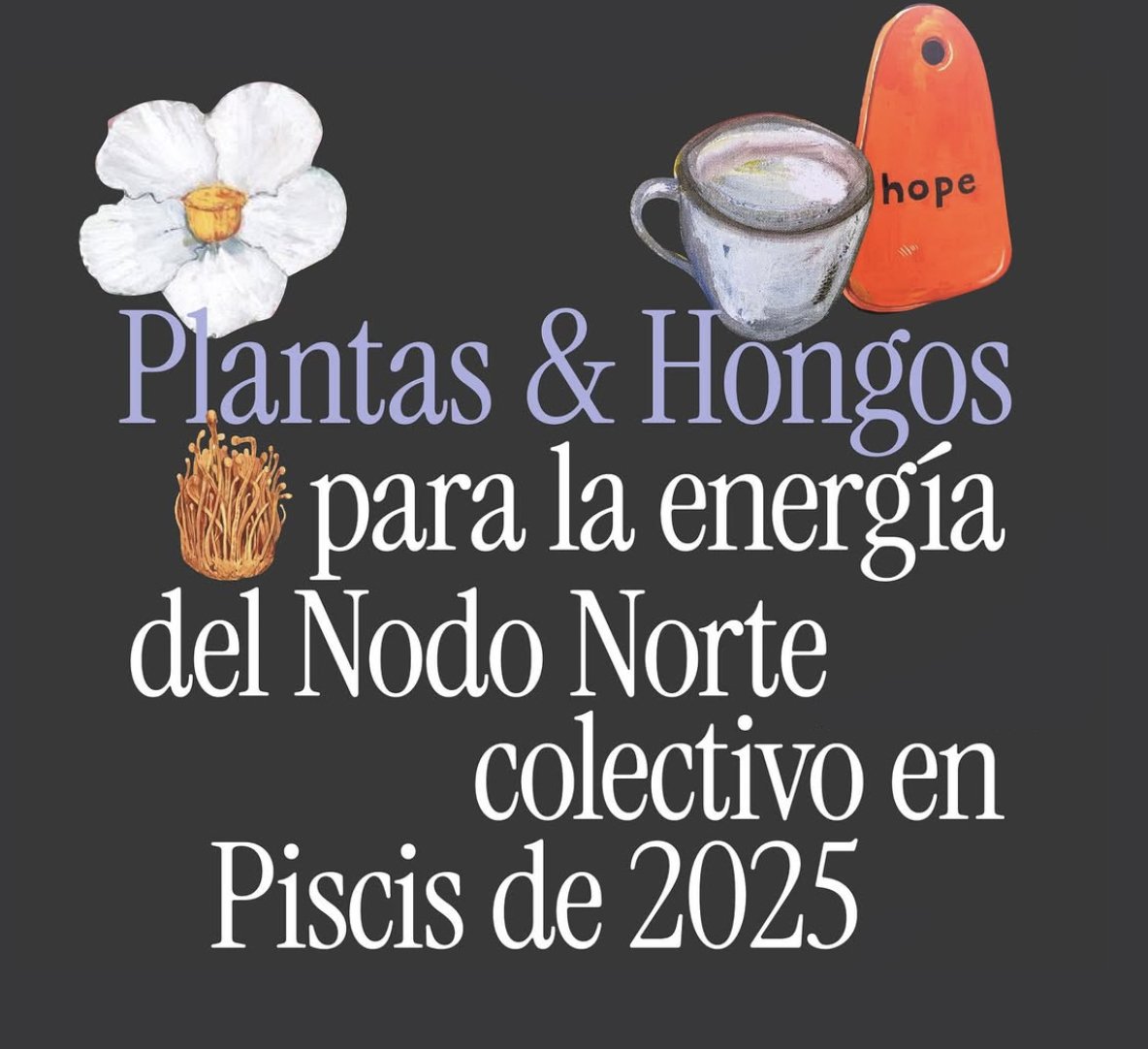 Medicina astro-herbal de nodo norte en piscis 2025-2026