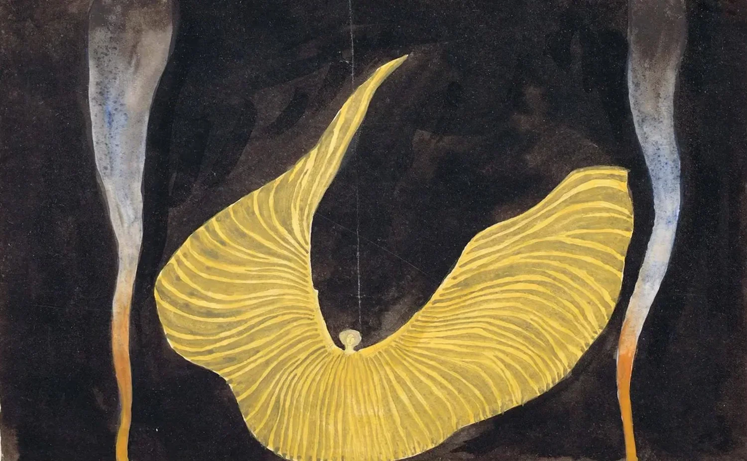 Diseño Humano para Niñas, Niños y Adolescentes