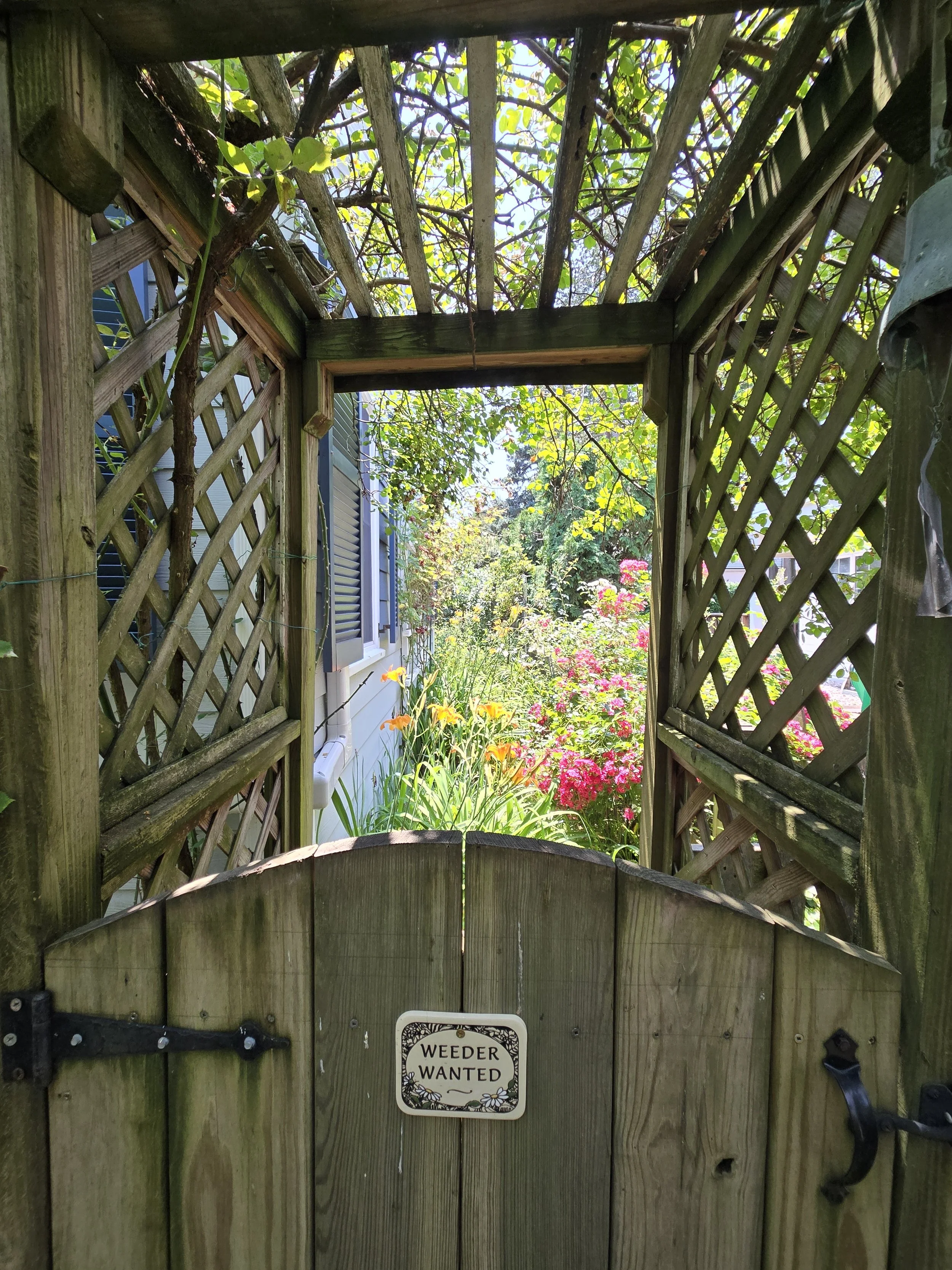 Back to the Garden: The Beauty of a Garden in Winter