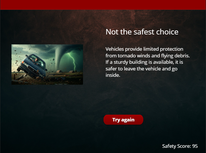 Immediate feedback reinforces consequences of risky decisions