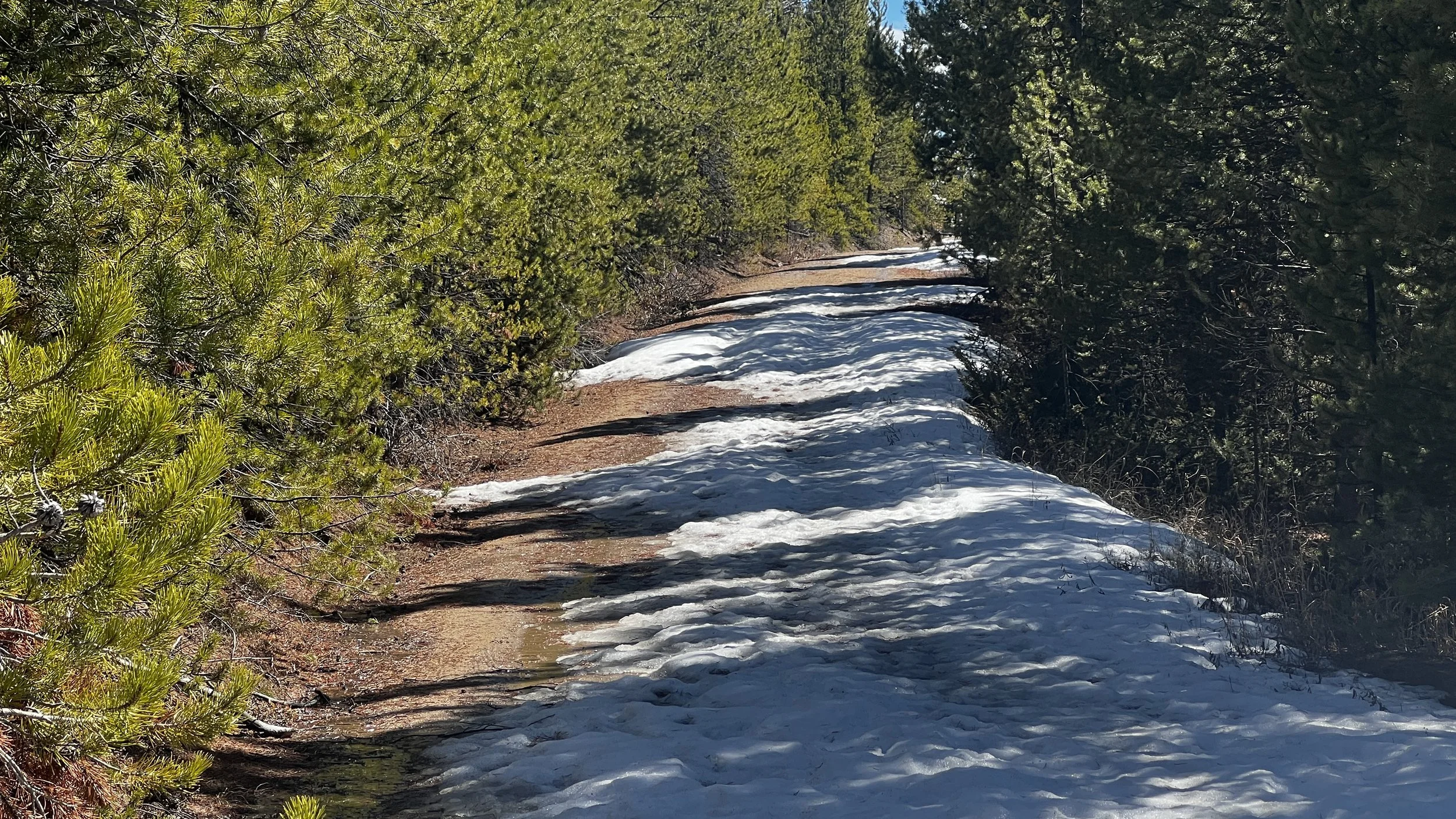 False Spring or Full Send? Riding Fraser’s Early Bike Season