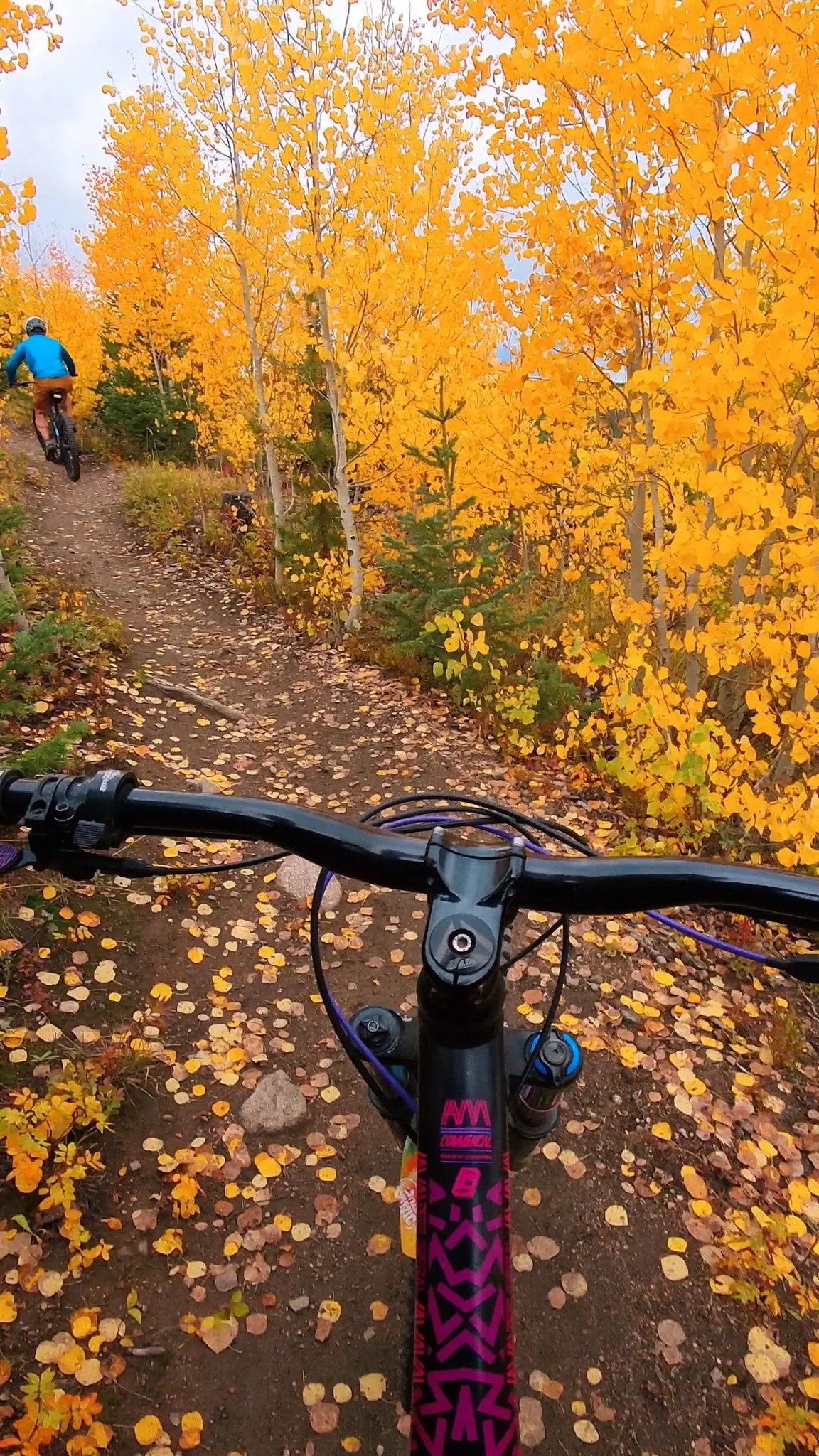 Fall Mountain Biking in Fraser: A Trail-by-Trail Guide
