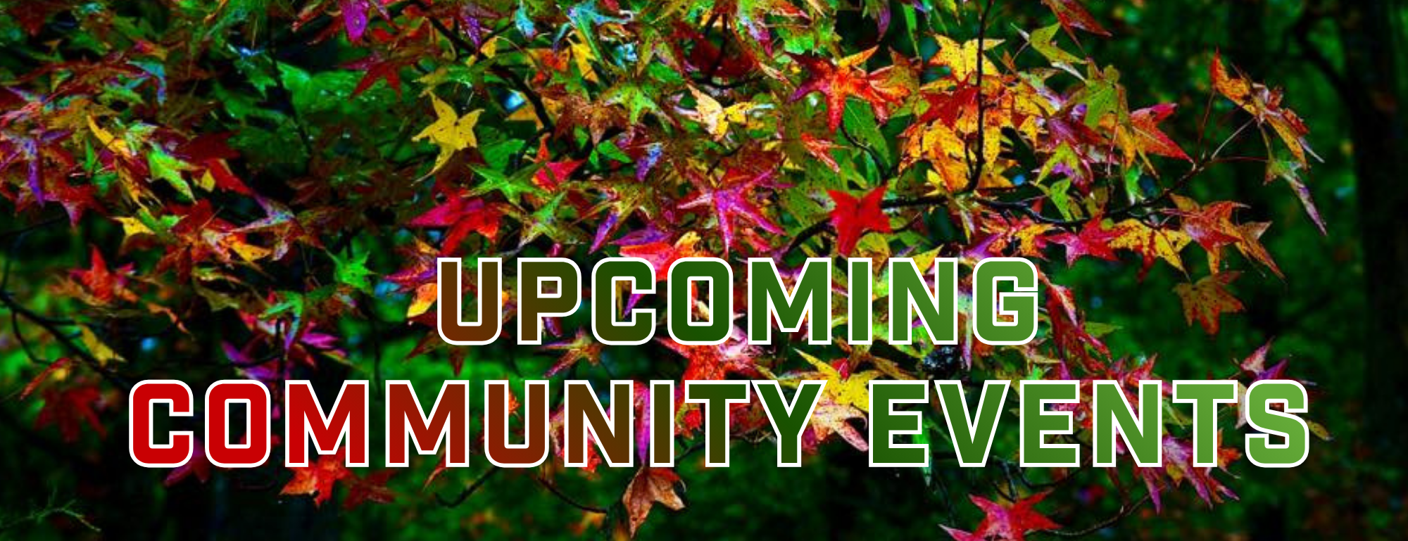 upcoming community events banner picture by tommy horn colorful fall leaves