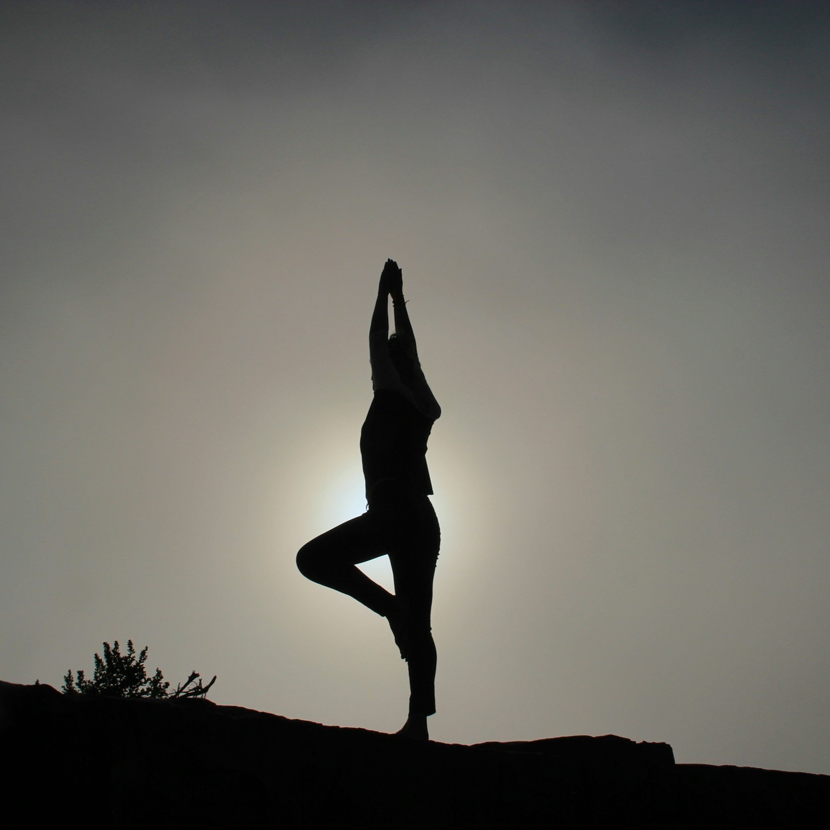 AYURVEDA-YOGA with Christianne (Active and Invigorating Kapha Dosha)