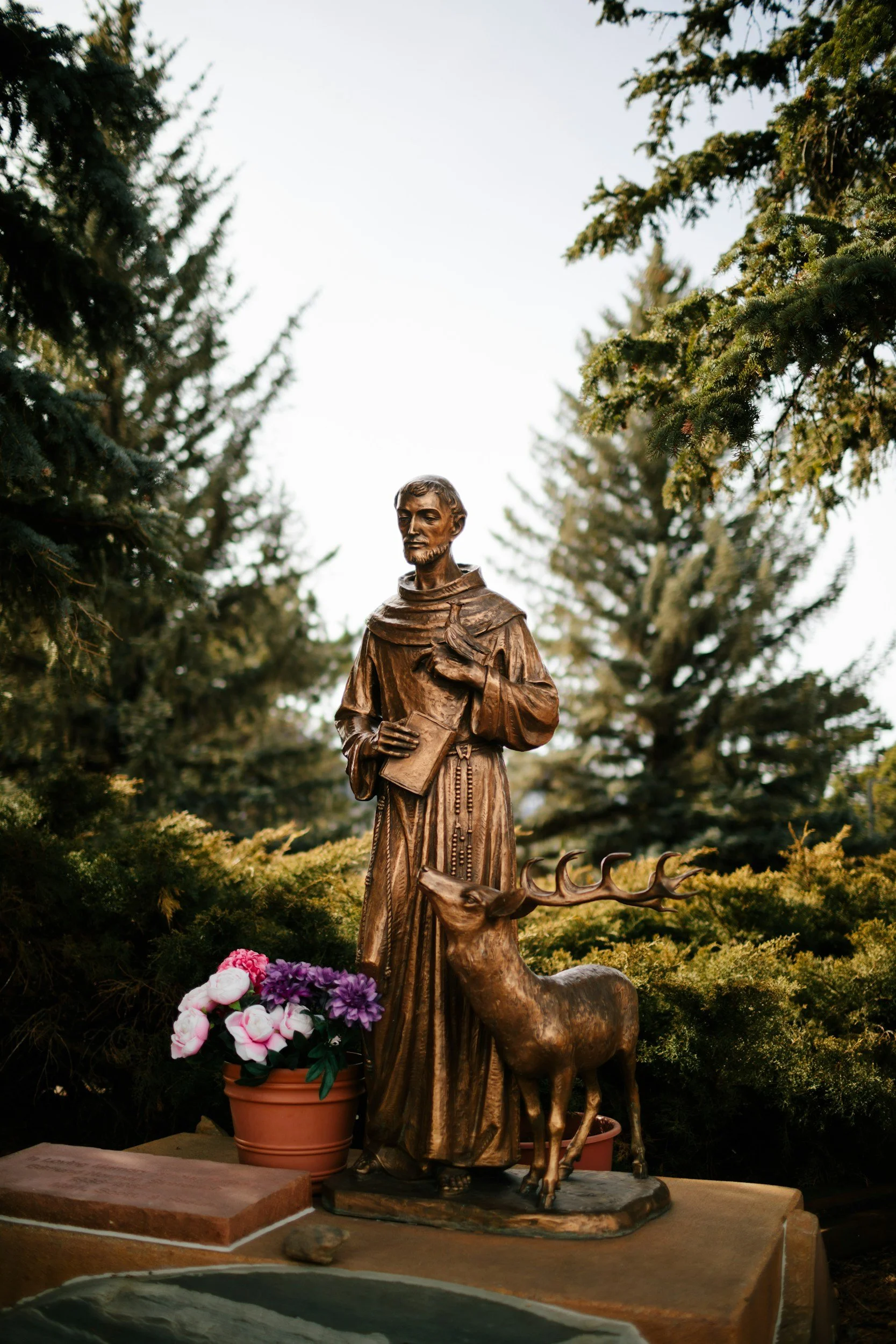 An Evening with St. Francis