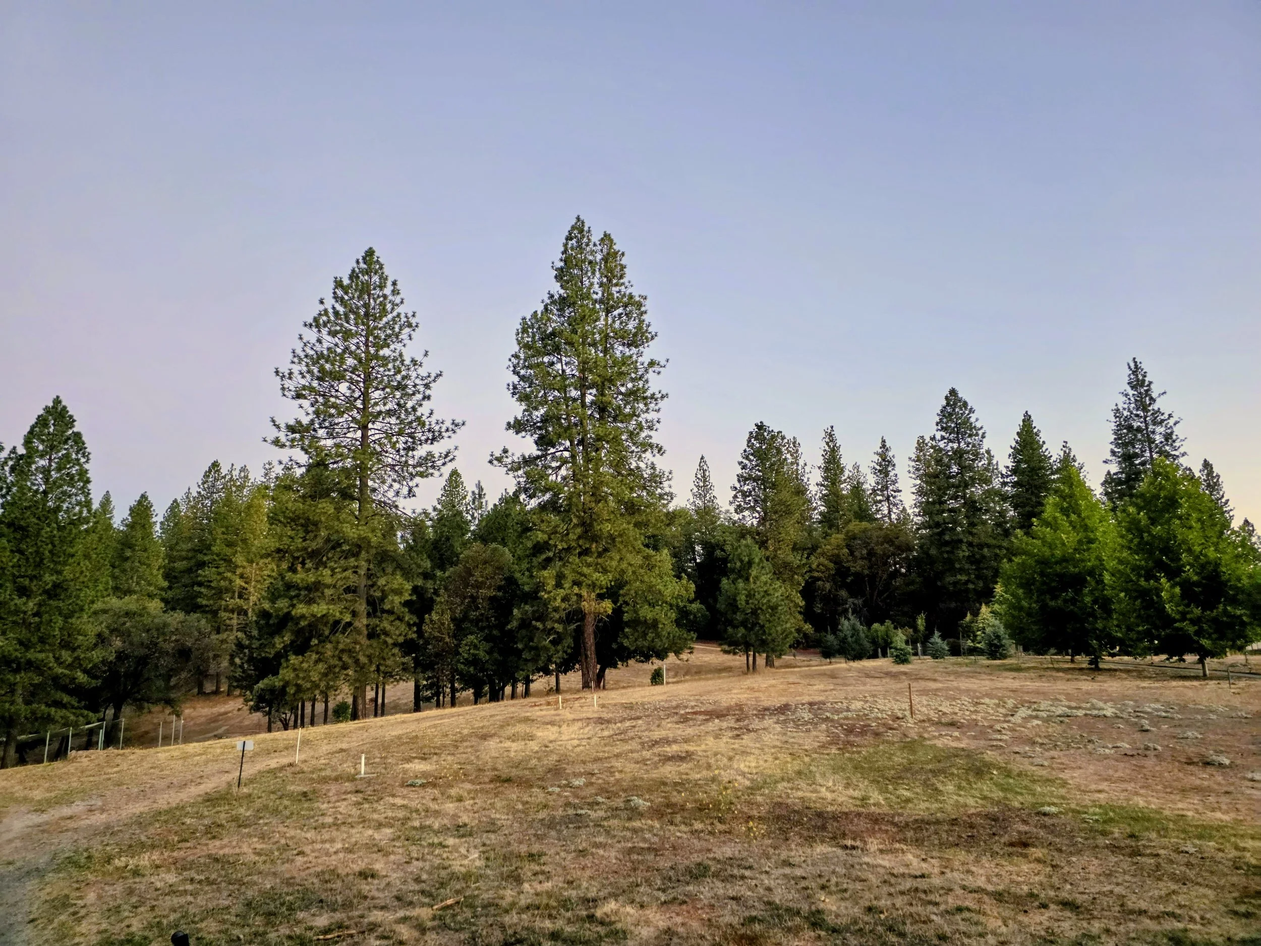 20260919_063519~2.jpg