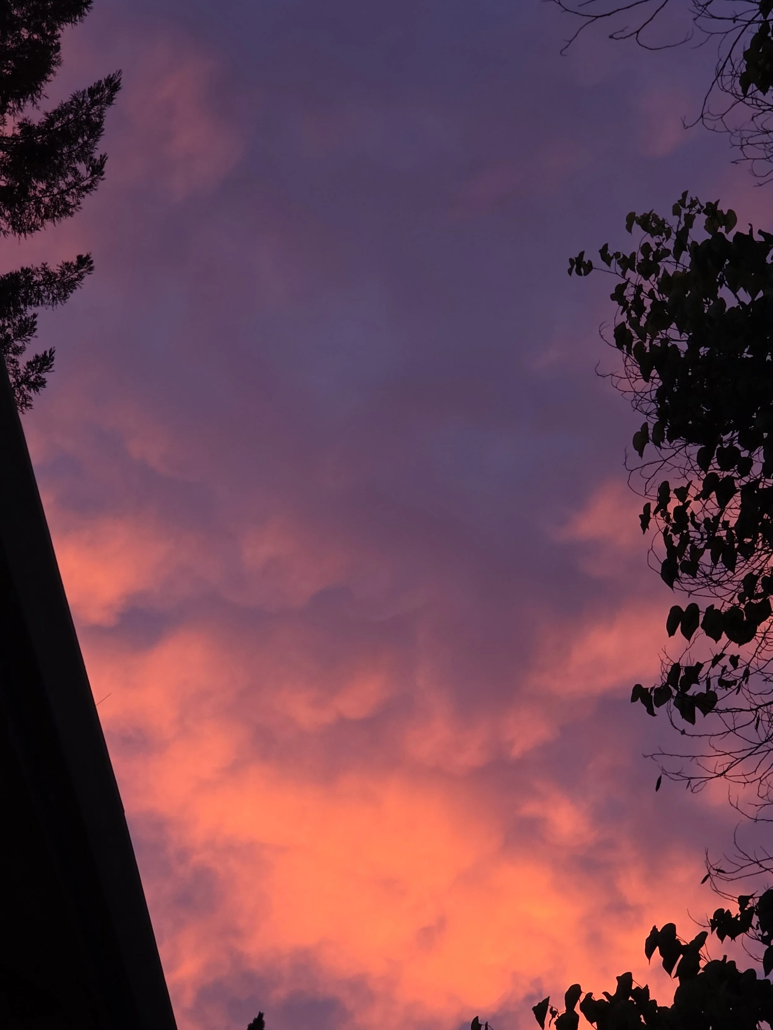 20260920_191241.jpg