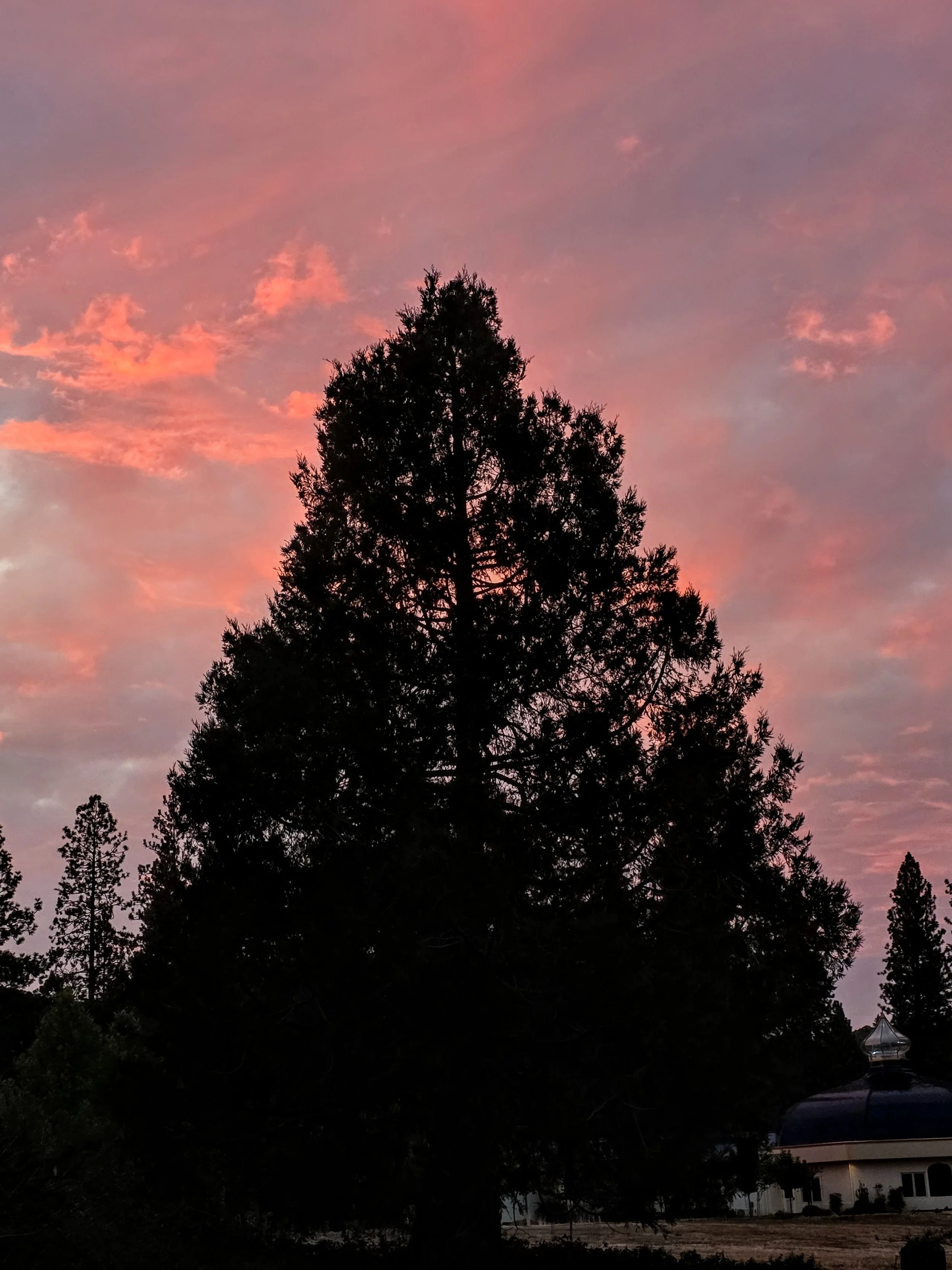 20260920_191337~2.jpg