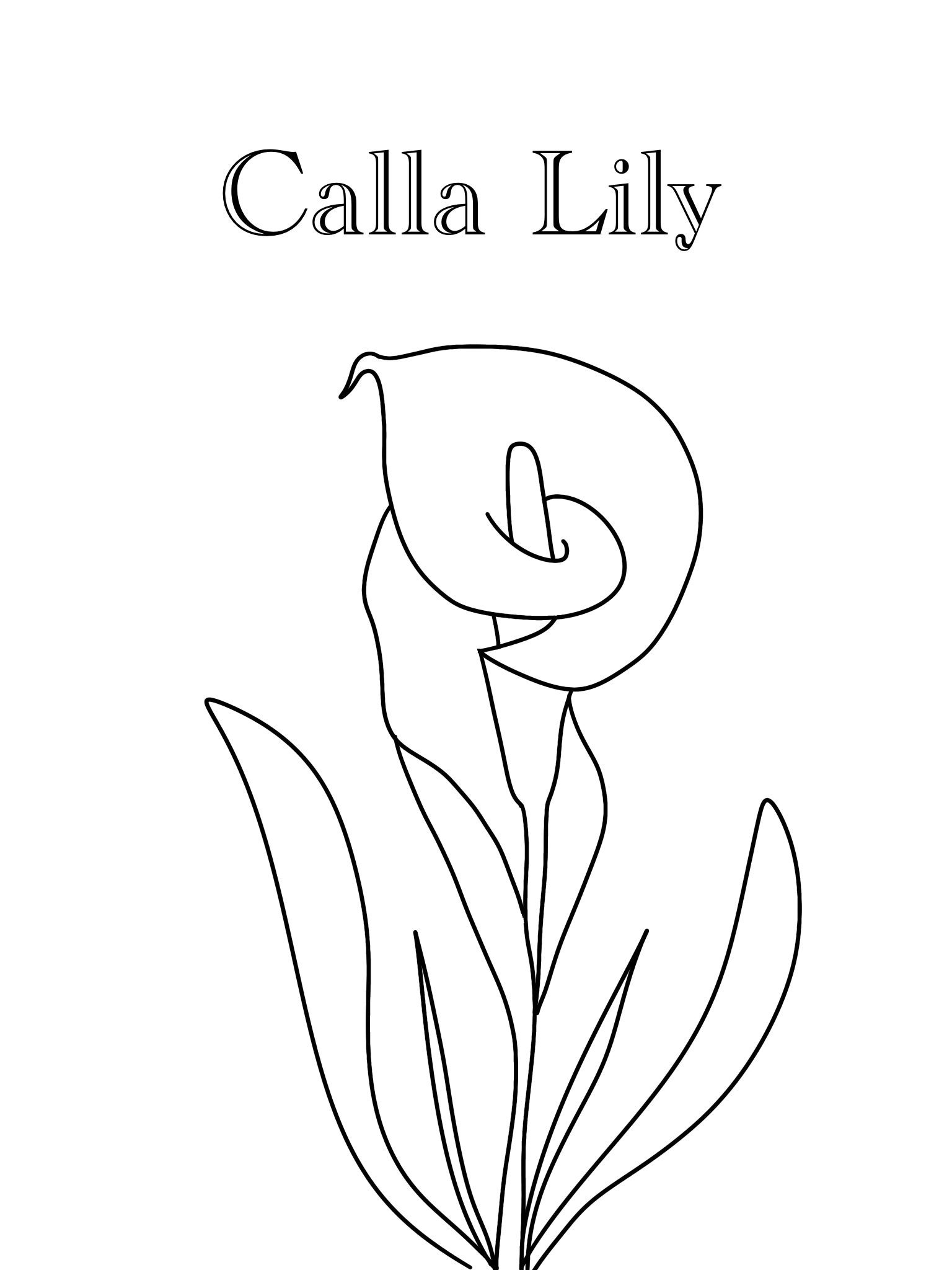 https://i.etsystatic.com/20181267/r/il/33d420/4766668153/il_fullxfull.4766668153_pw9c.jpg
