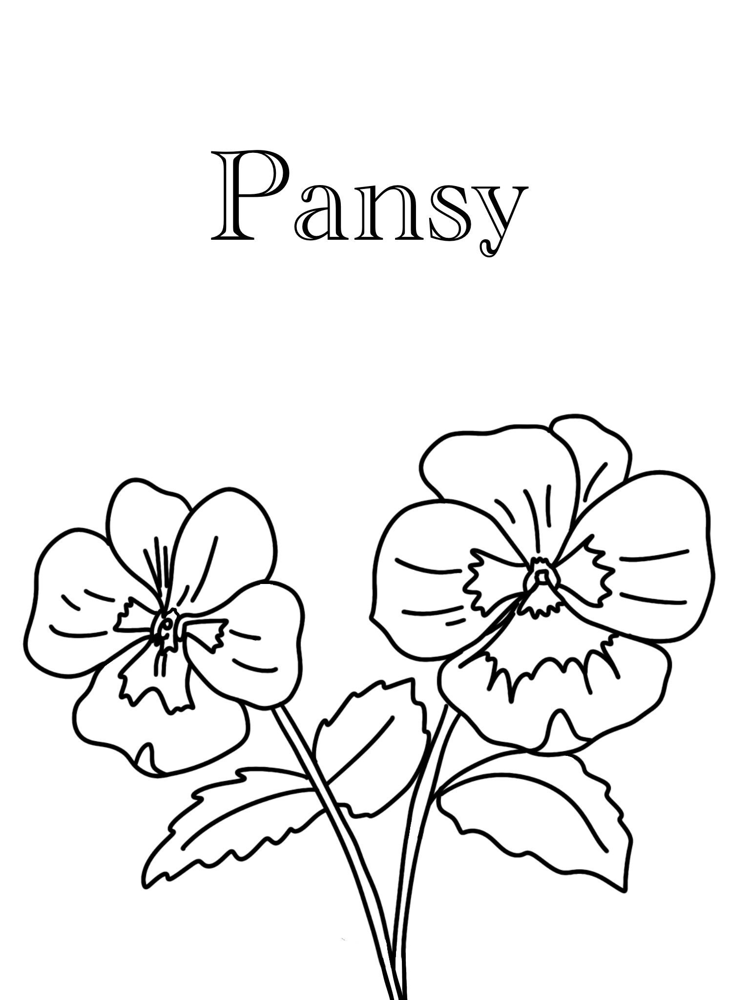https://i.etsystatic.com/20181267/r/il/e57ef7/4718427368/il_fullxfull.4718427368_1oqs.jpg