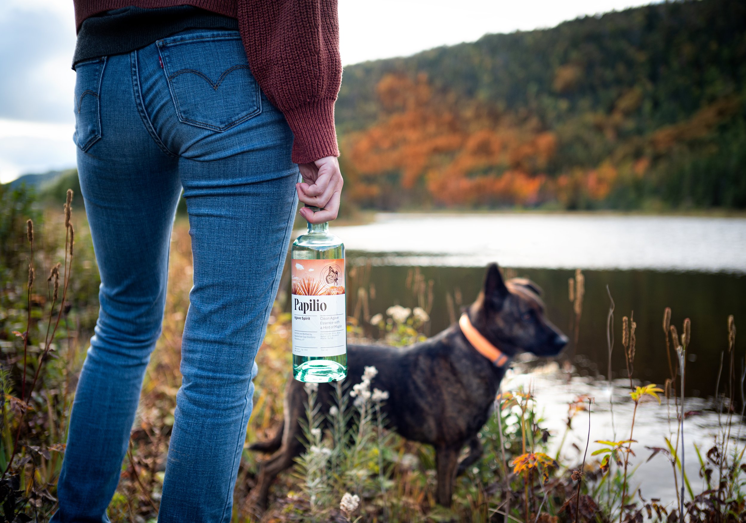 a woman holds a bottle of App Gap Distillery Papilio next to an autumn lake with her dog