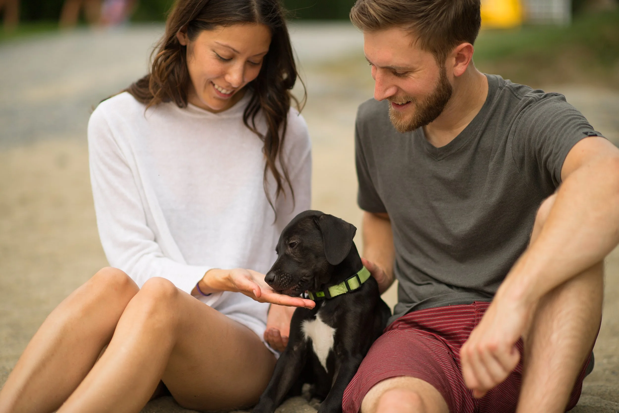 man and woman sitting on sandy beach with a cute black puppy in between them