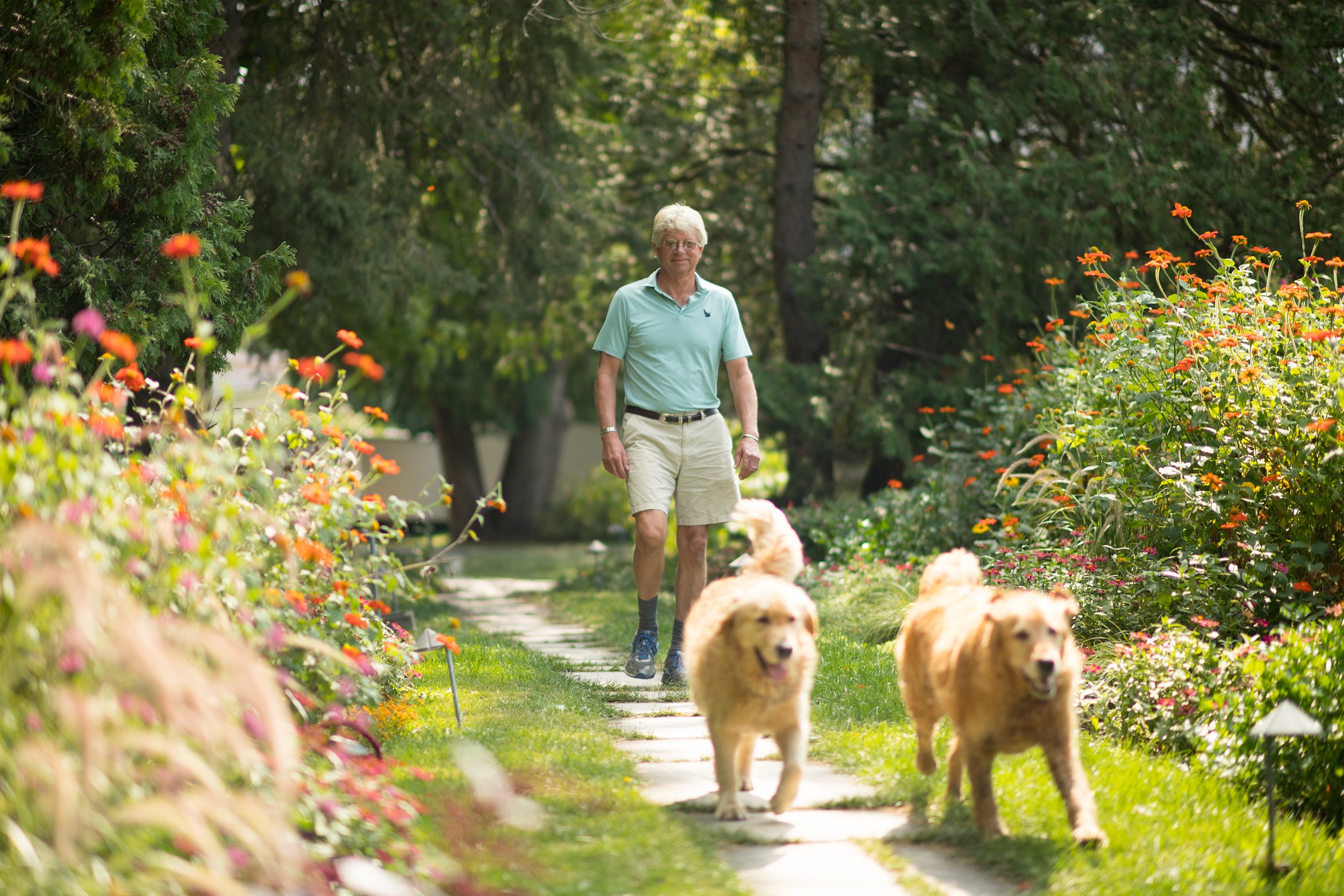 basin harbor owner walking down a stone path through a garden with his two golden retrievers leading the way