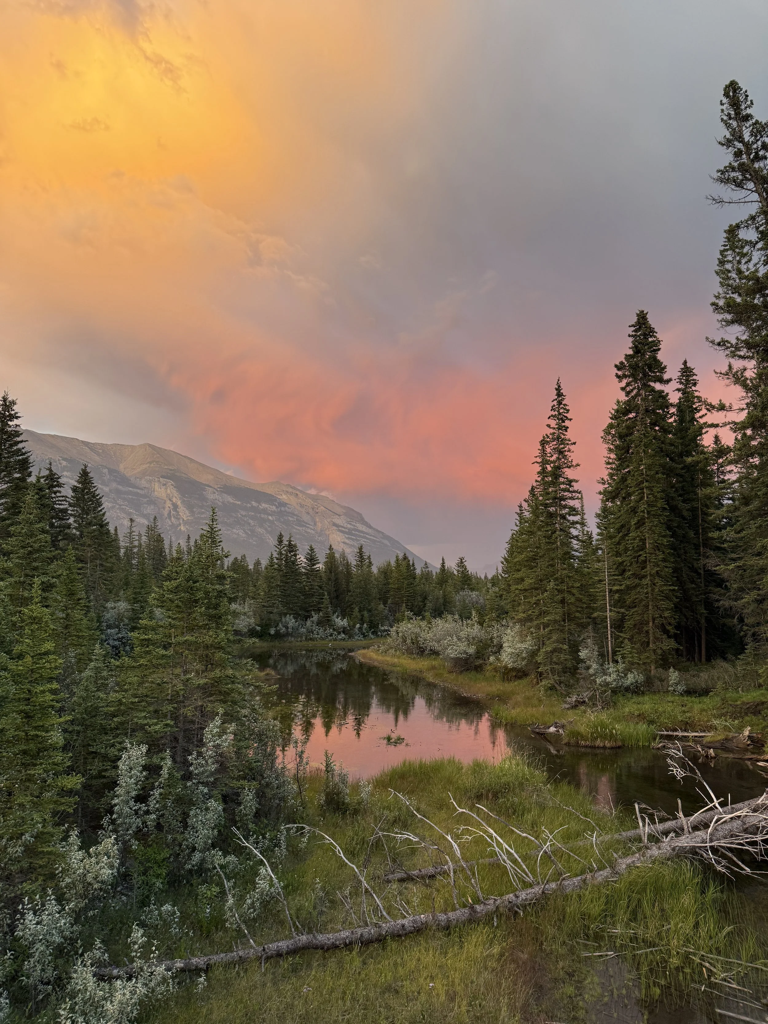 Scenic landscape of a forested area with a river, mountains in the background, and a colorful sunset sky with pink, orange, and purple clouds in canmore alberta