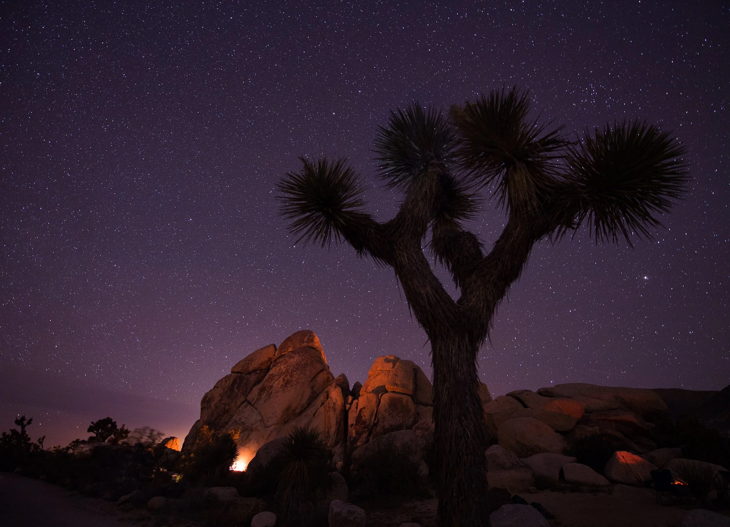 night time travel photo taken in joshua tree california