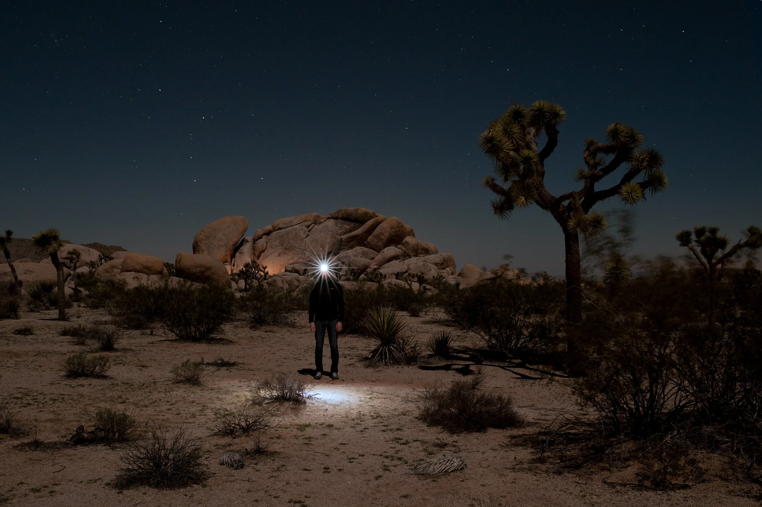 self portrait of michael heeney wearing a headlamp in the joshua tree desert at night