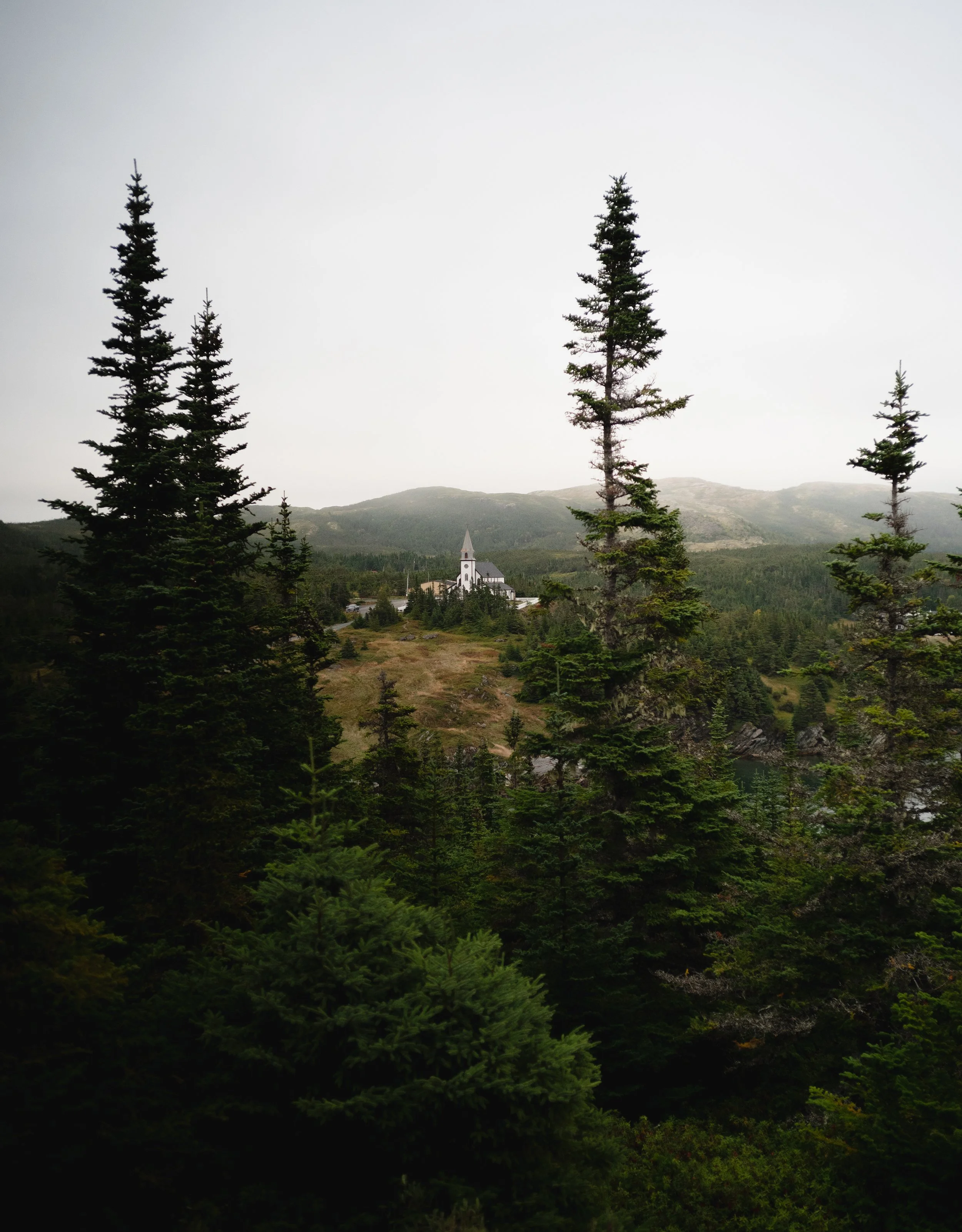 church in the distance with pine trees in thre foreground in newfoundland