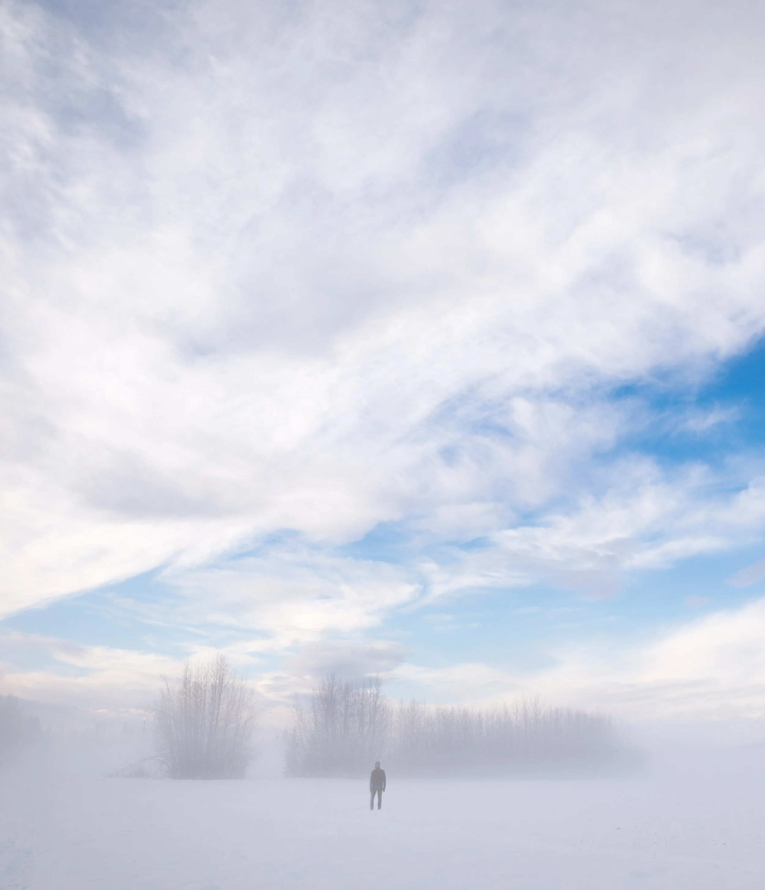 michael heeney self portrait in a foggy field in fairbanks alaska
