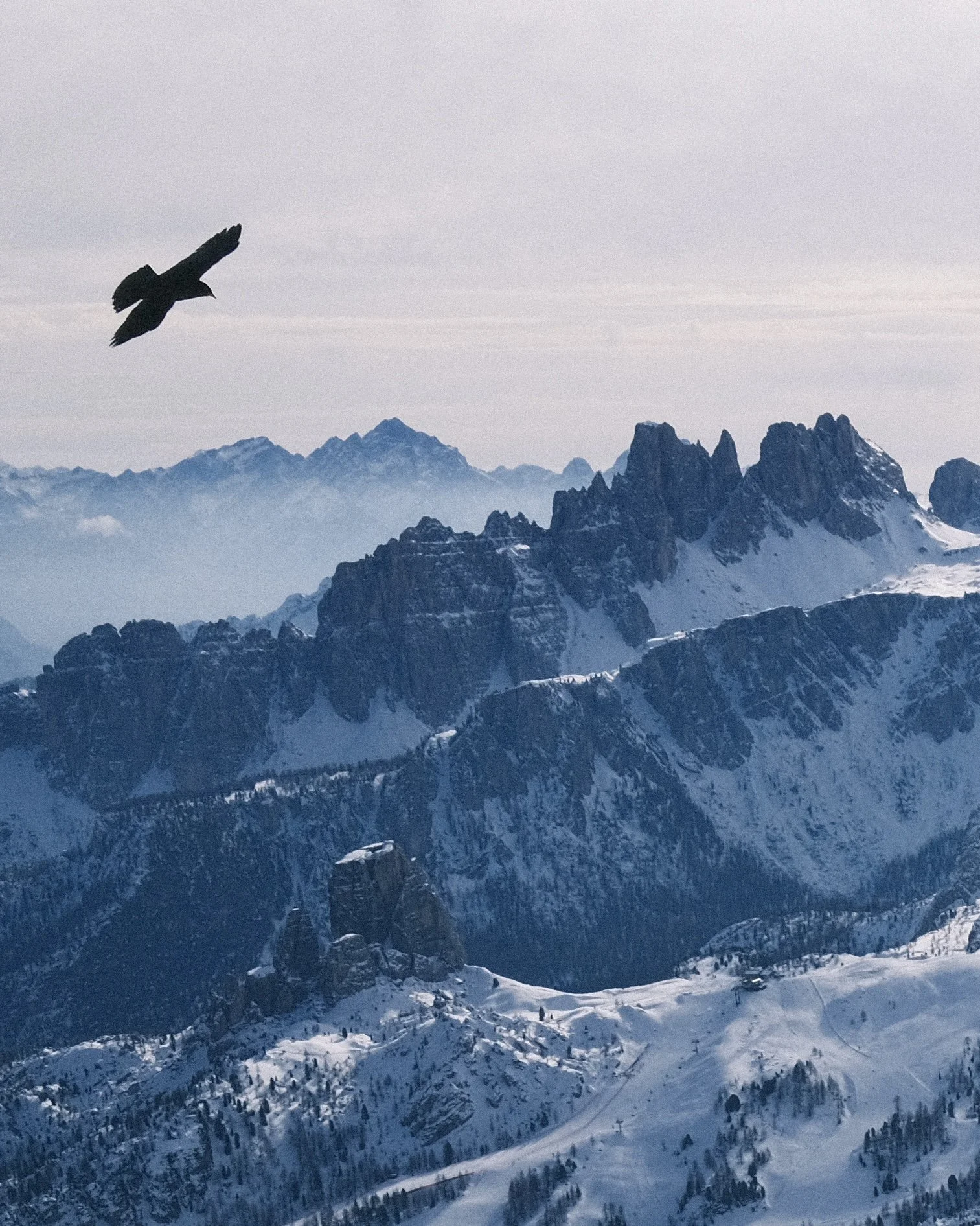 vermont travel photographer michael heeney captures black bird flying over jagged snowy peaks in the italian dolomites