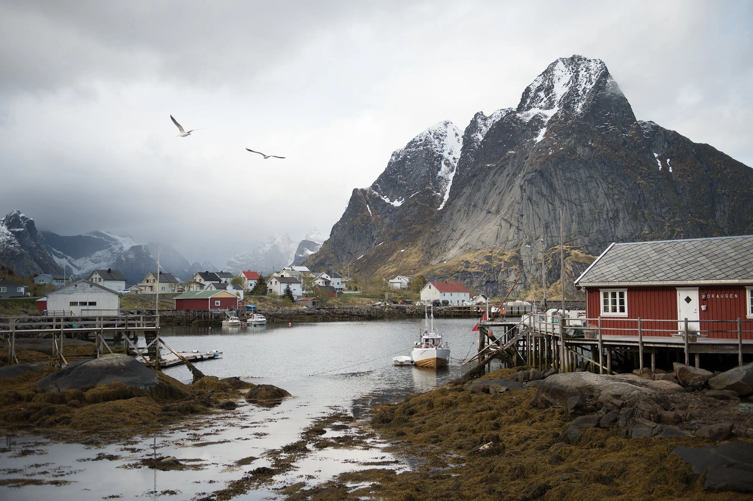 travel photo of the lofoten islands in norway