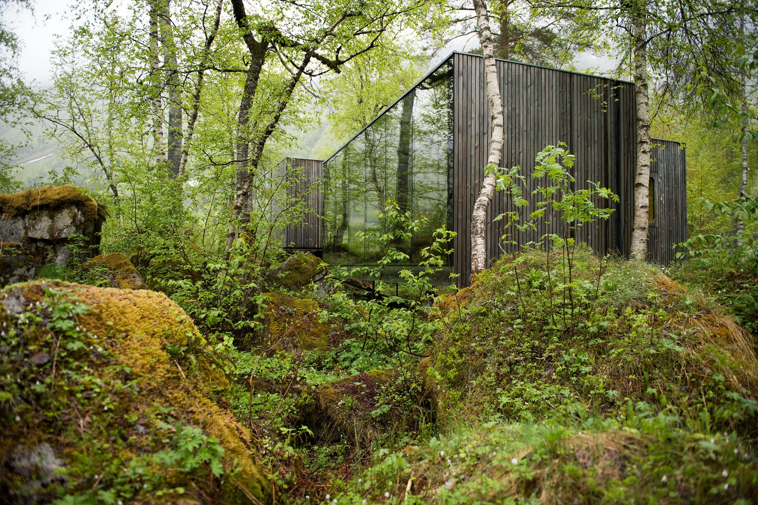 Modern cabin with glass walls and wooden exterior in a lush forest landscape, surrounded by trees and moss-covered rocks.