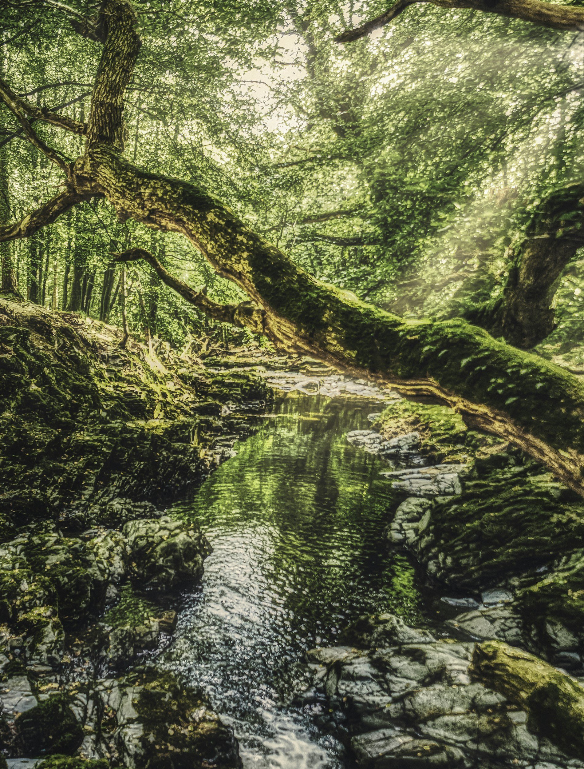 The More you Heal, the Less you Stress