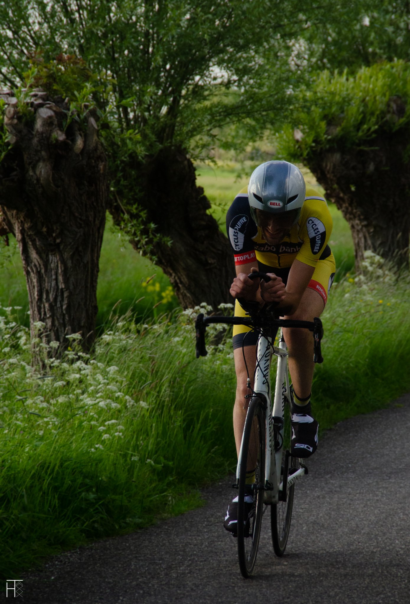 Cyclist in yellow and black gear riding on a tree-lined road