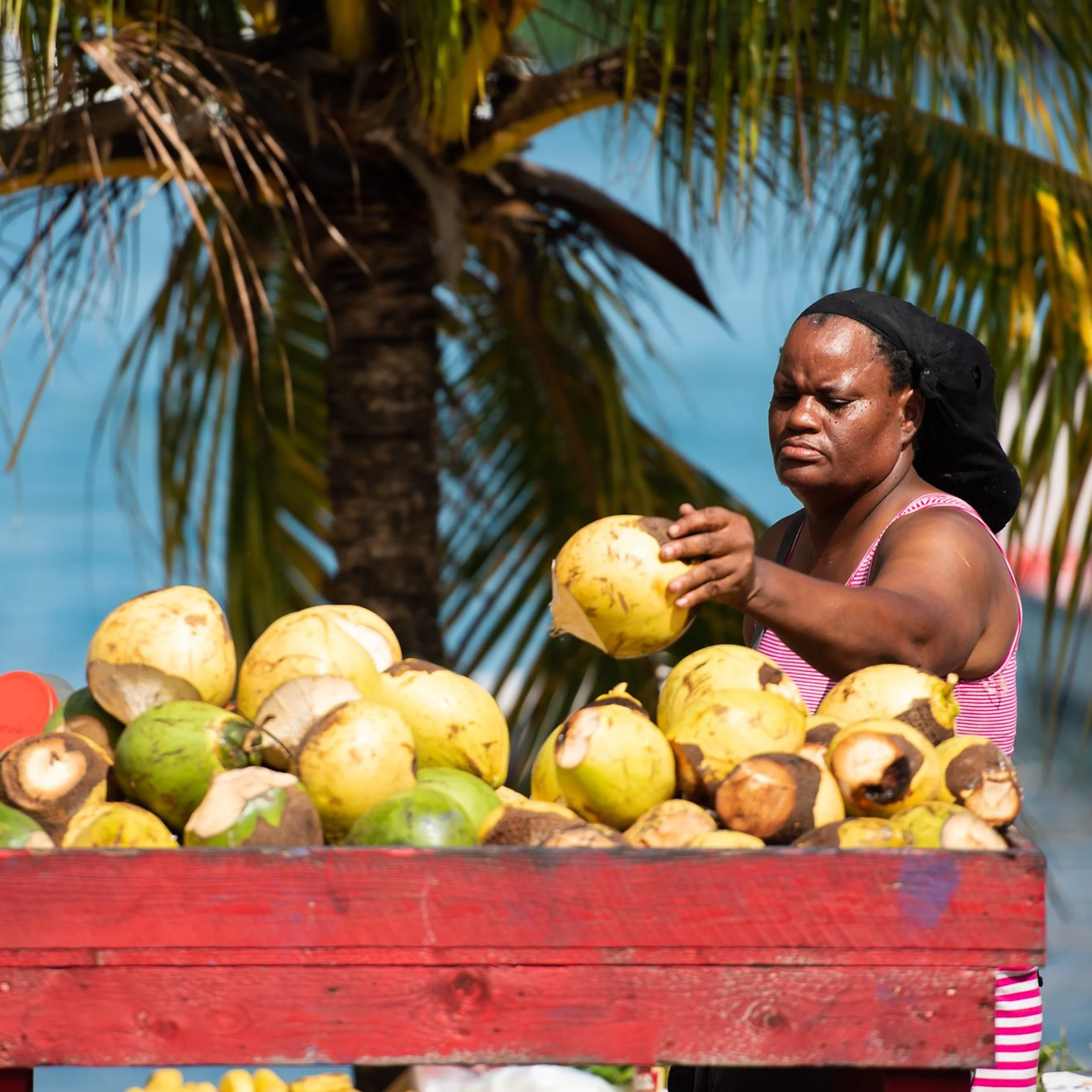 coconut lady.jpg