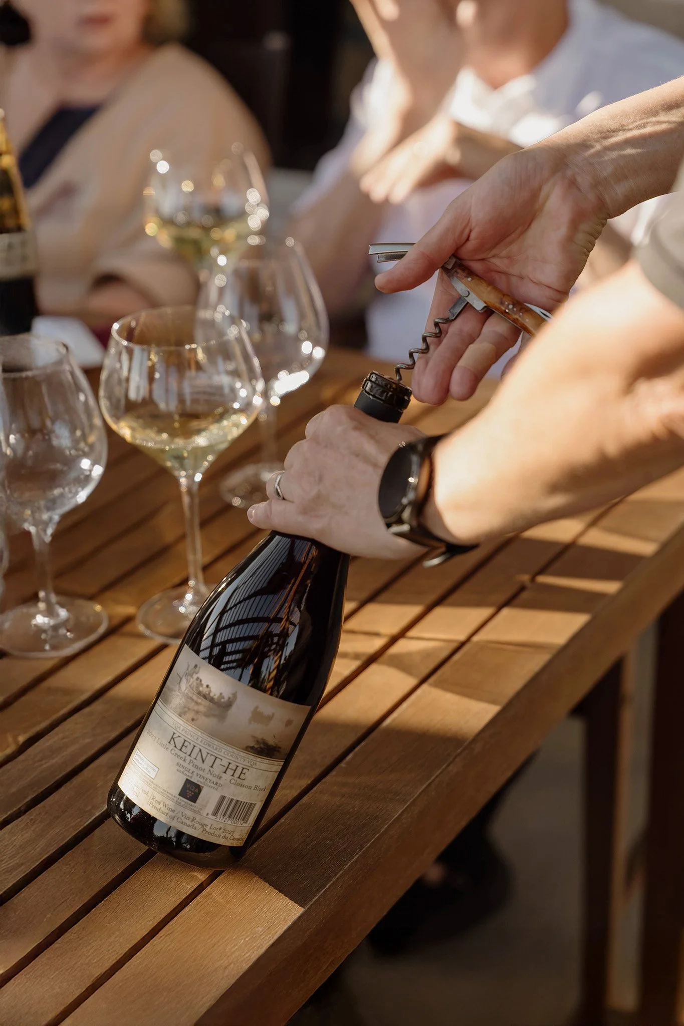 vineyard-photography (24).jpg