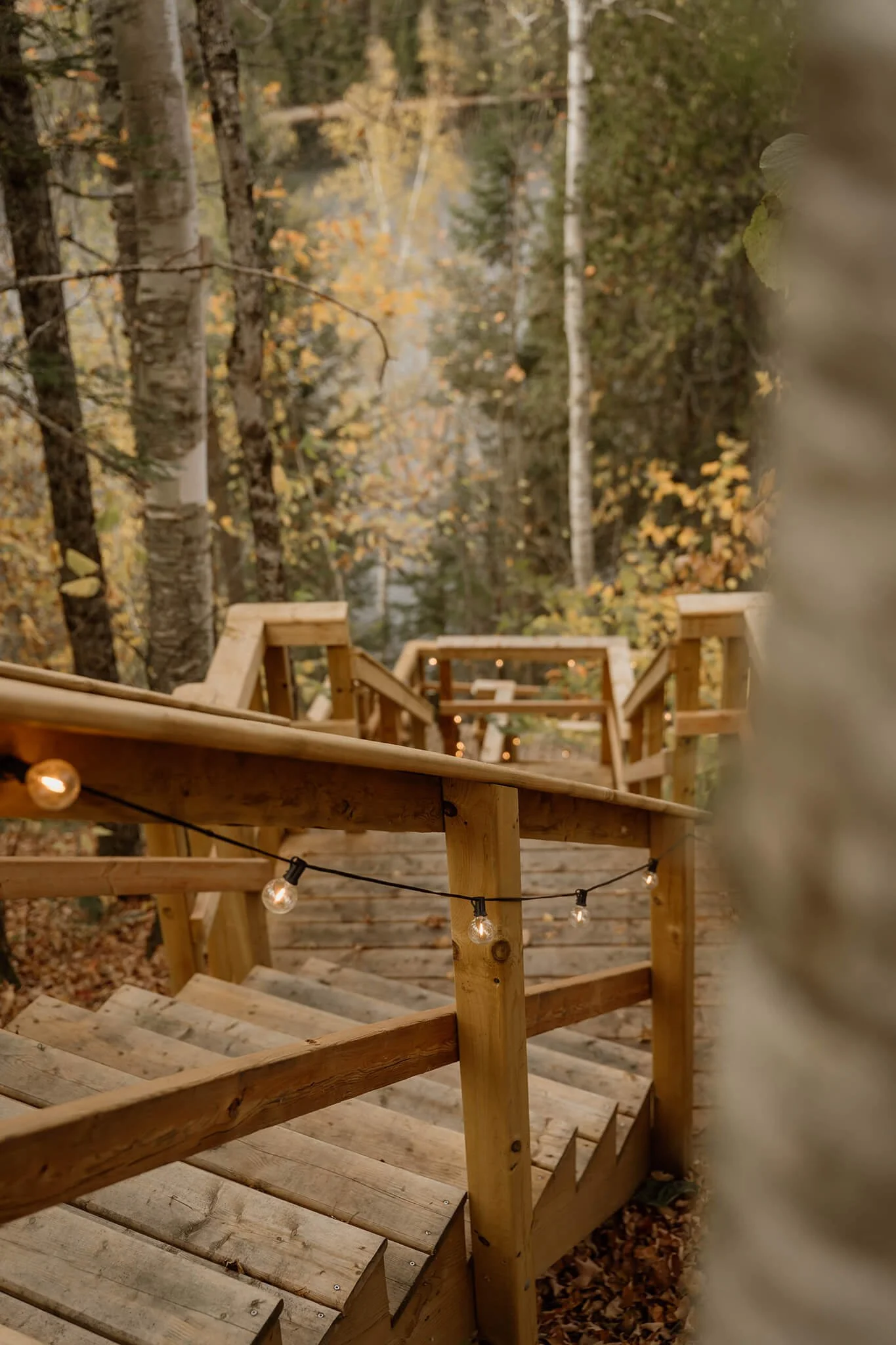 Kawartha-Lakes-Airbnb-Photography (33).jpg