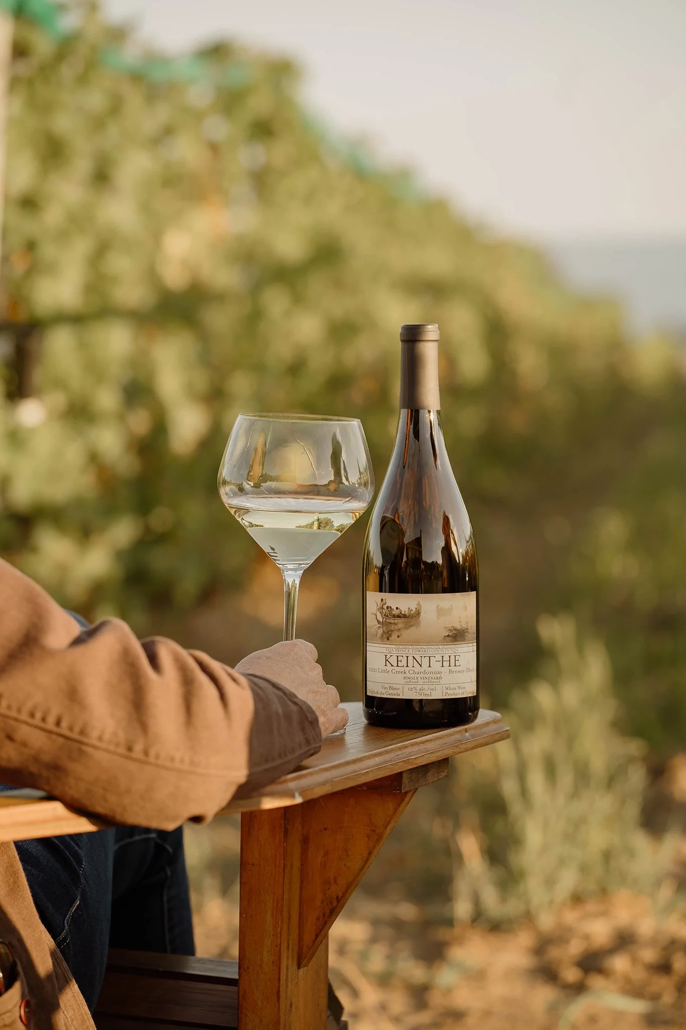 vineyard-photography (42).jpg