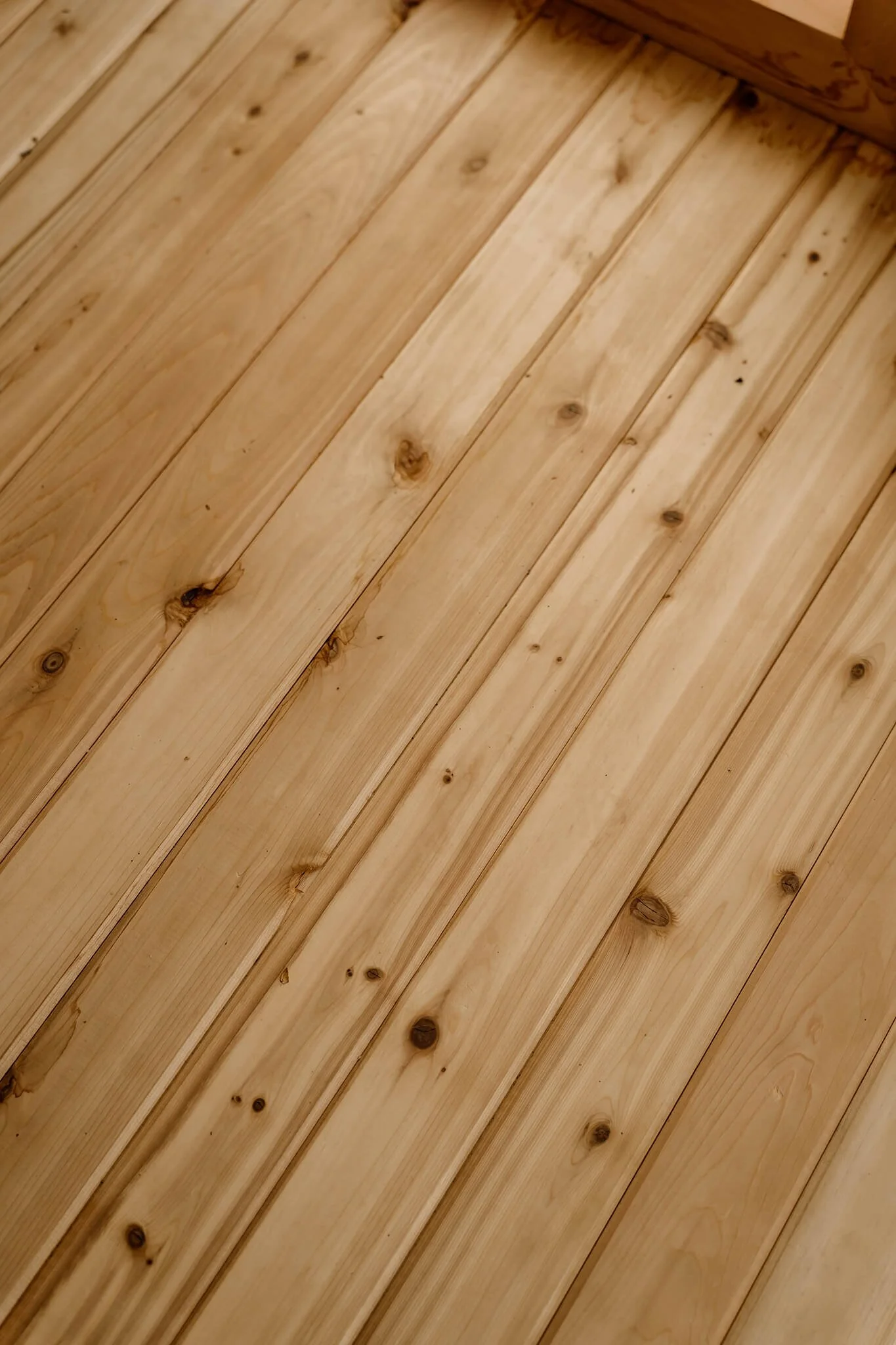 Kawartha-Lakes-Airbnb-Photography (25).jpg