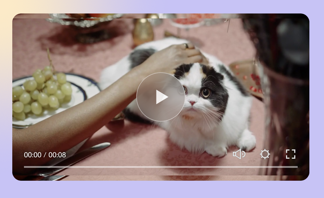Squarespace video player with slight height mismatch between the featured image and the video player underneath. Video thumbnail is an arm stroking a cat on a table.