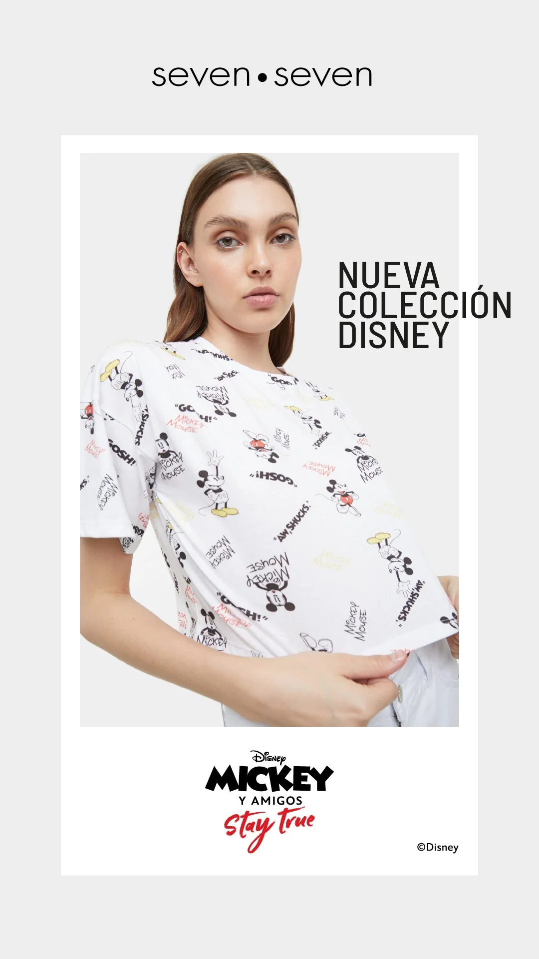 Mesa de trabajo 5-100.jpg