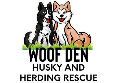 Woof Den Husky And Herding Rescue 