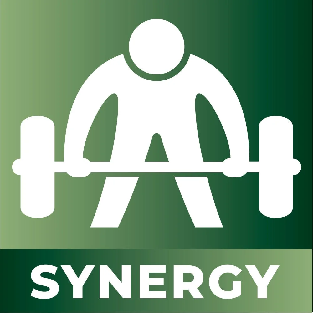 SYNERGY group fitness class icon, person performing a barbell deadlifte