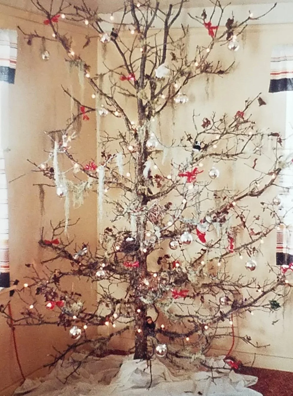 The Dead Tree of Christmas Past