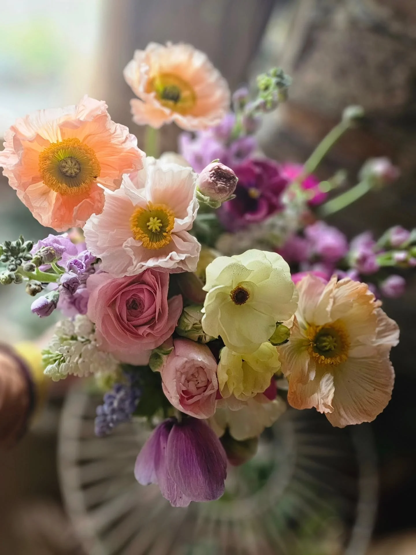 Spring, to hold.

Today's bouquet for Aisling, just married to Callum @dunmorehousehotel 

Tulips, pansies and some butterfly ranunculus from the garden. Poppies, more ranunculus, anemones, grape hyacinth, lilacs and stocks from the Dutch market (all