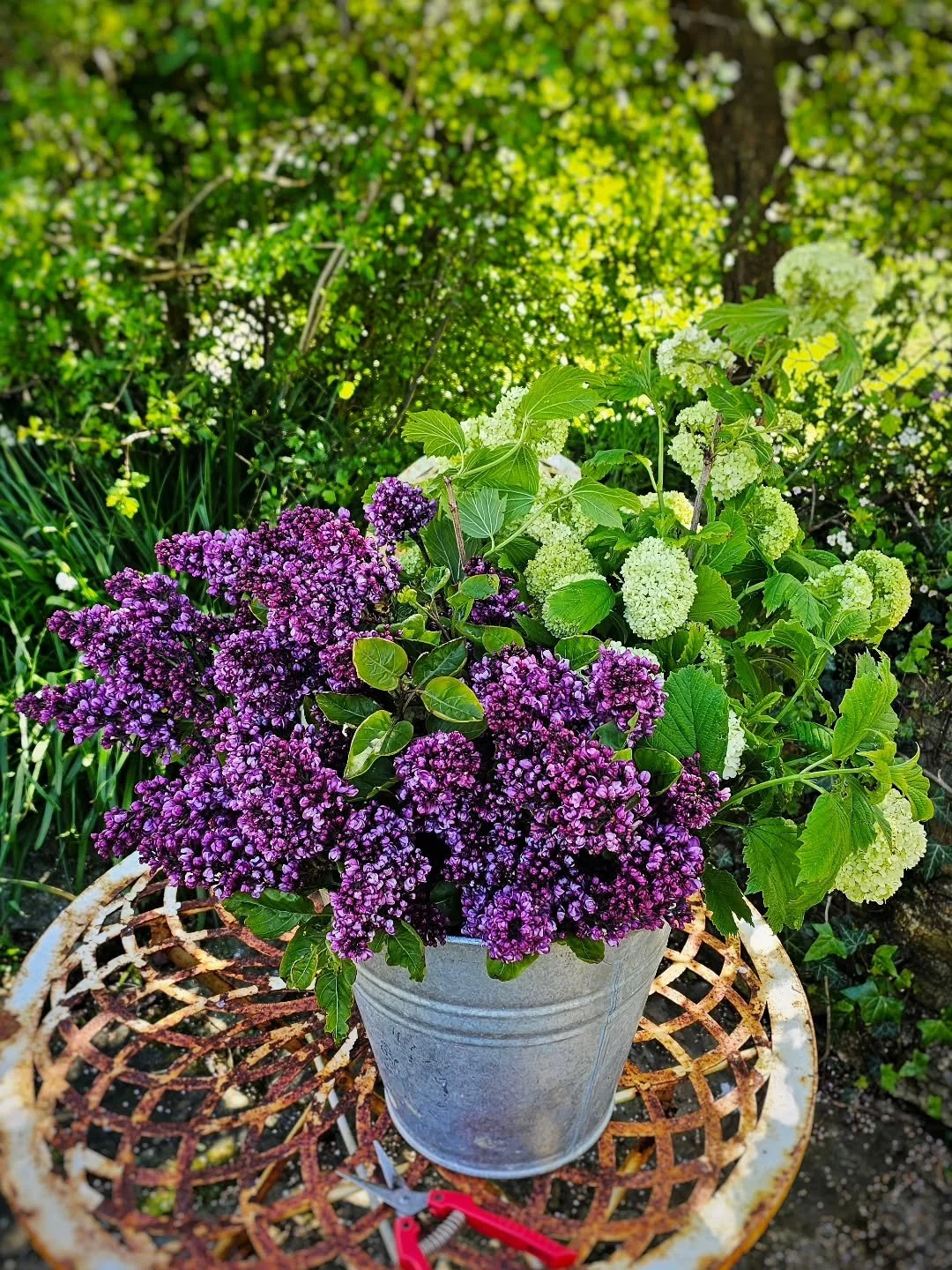 Gathering from the gardens for @dunmorehousehotel 

Lilacs and viburnum.
Be sure to take in the scent if you are there this weekend!

Irish flowers, garden flowers, fresh flowers for venues, luxury hotel flowers, sustainable flowers, seasonal flowers