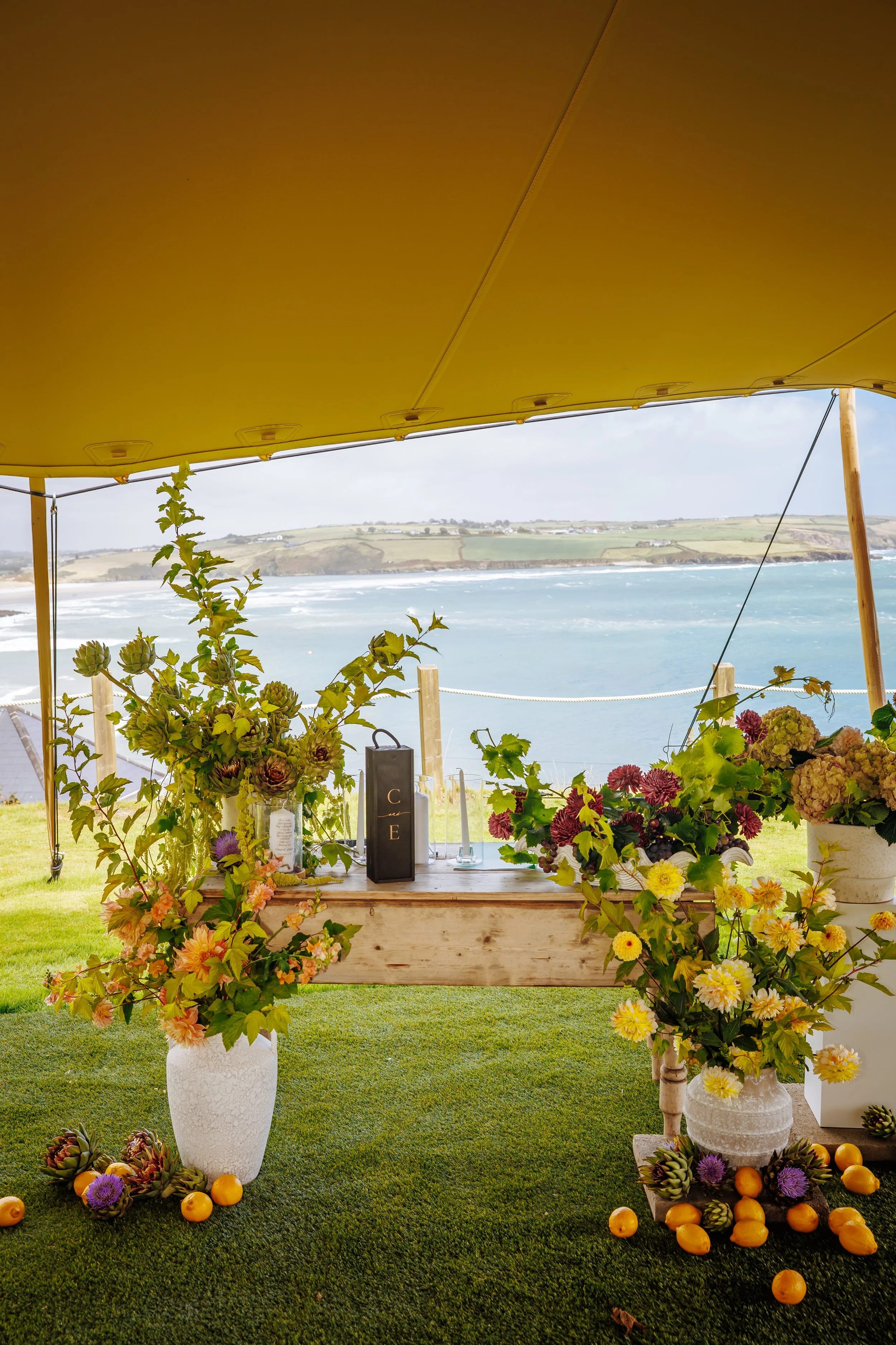 dunmore-house-wave-canopy-wedding-image-by-john-beasley
