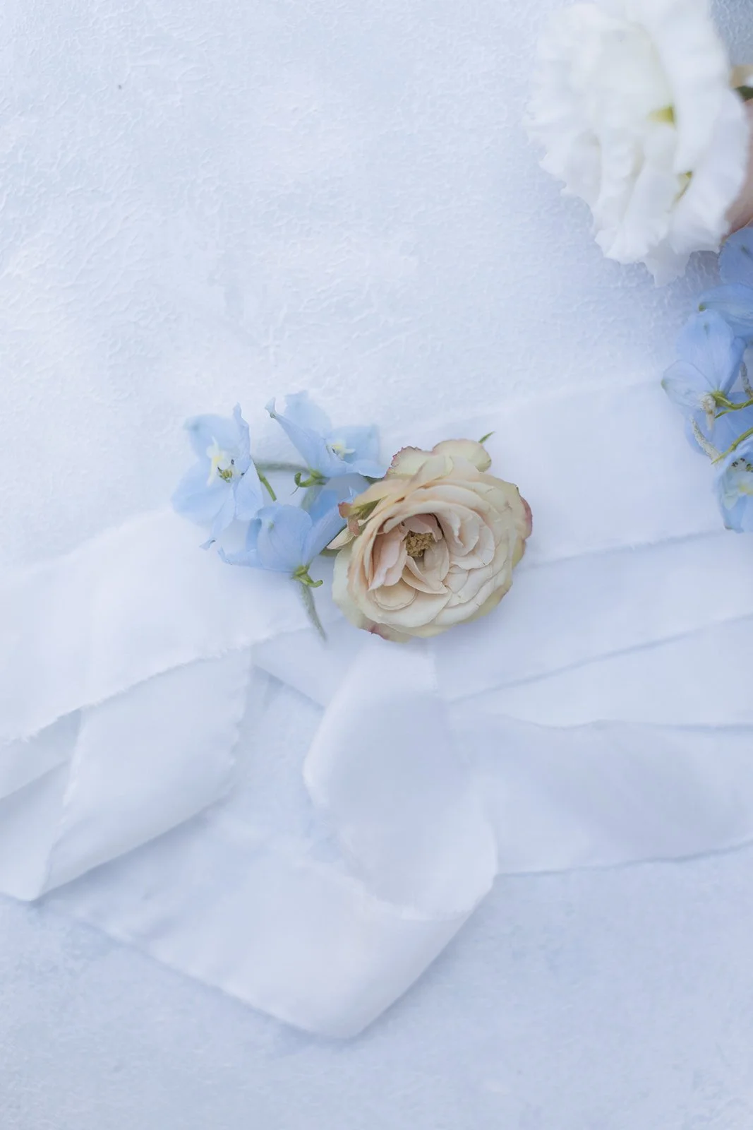 Image by Magda Lukas