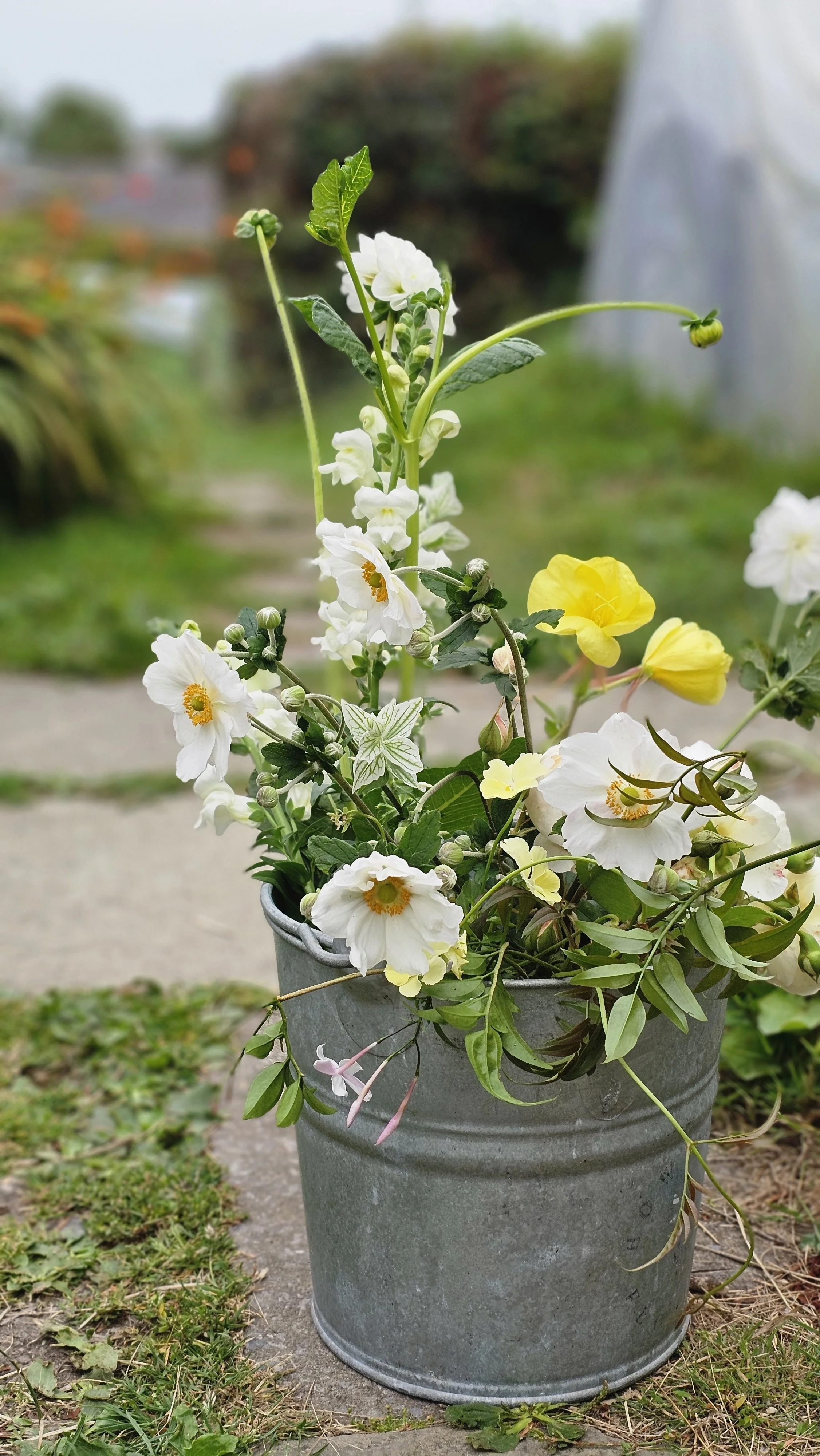 Bucket of freshly picked flowers from the gardens at Howe Hill