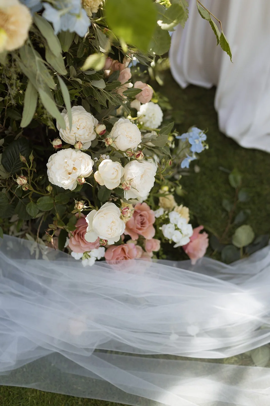Image by Magda Lukas