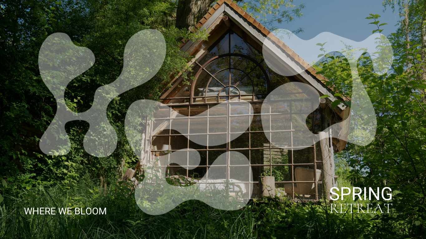 HEADER WEBSITE(1).png