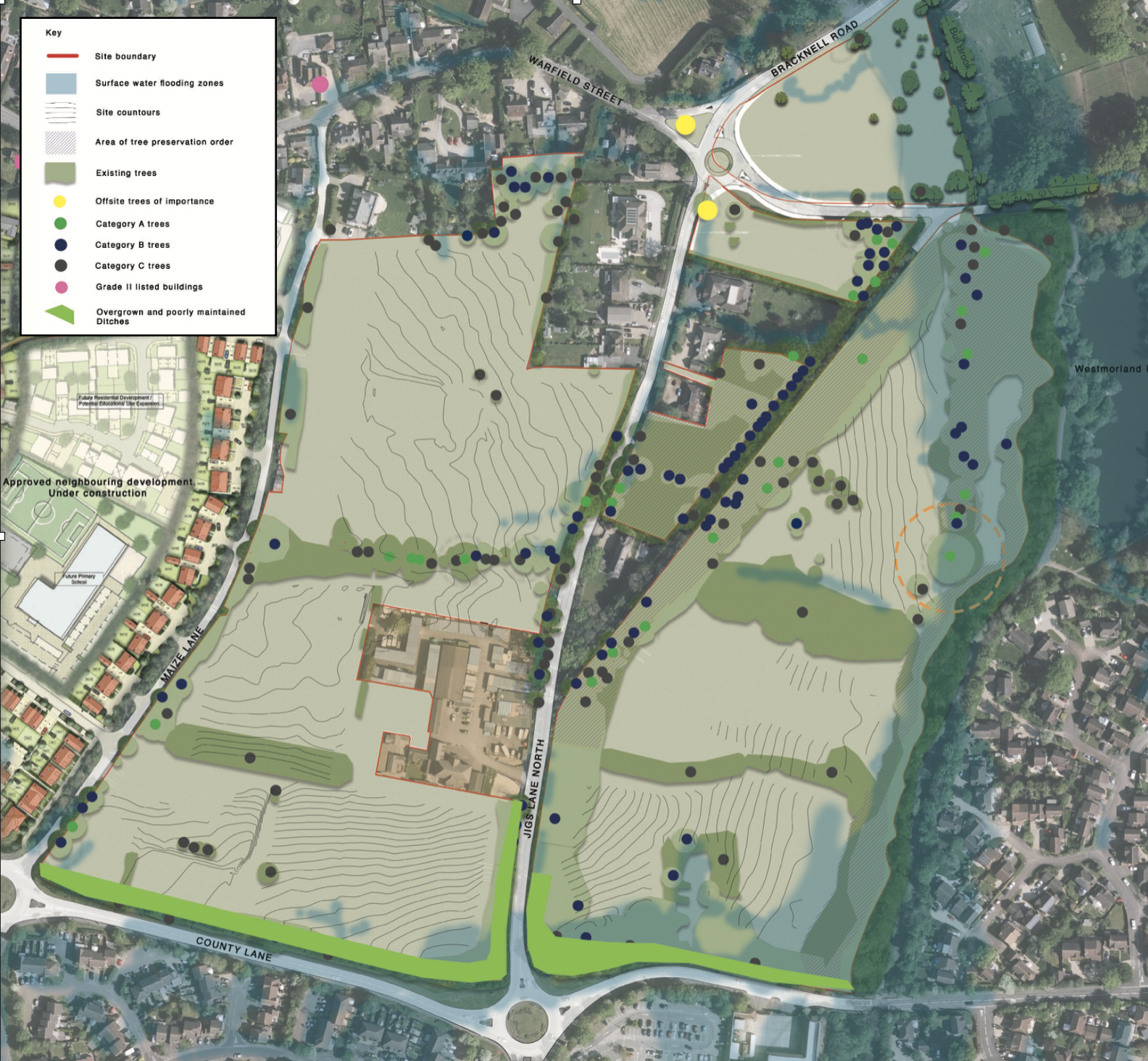 Existing trees and flood areas