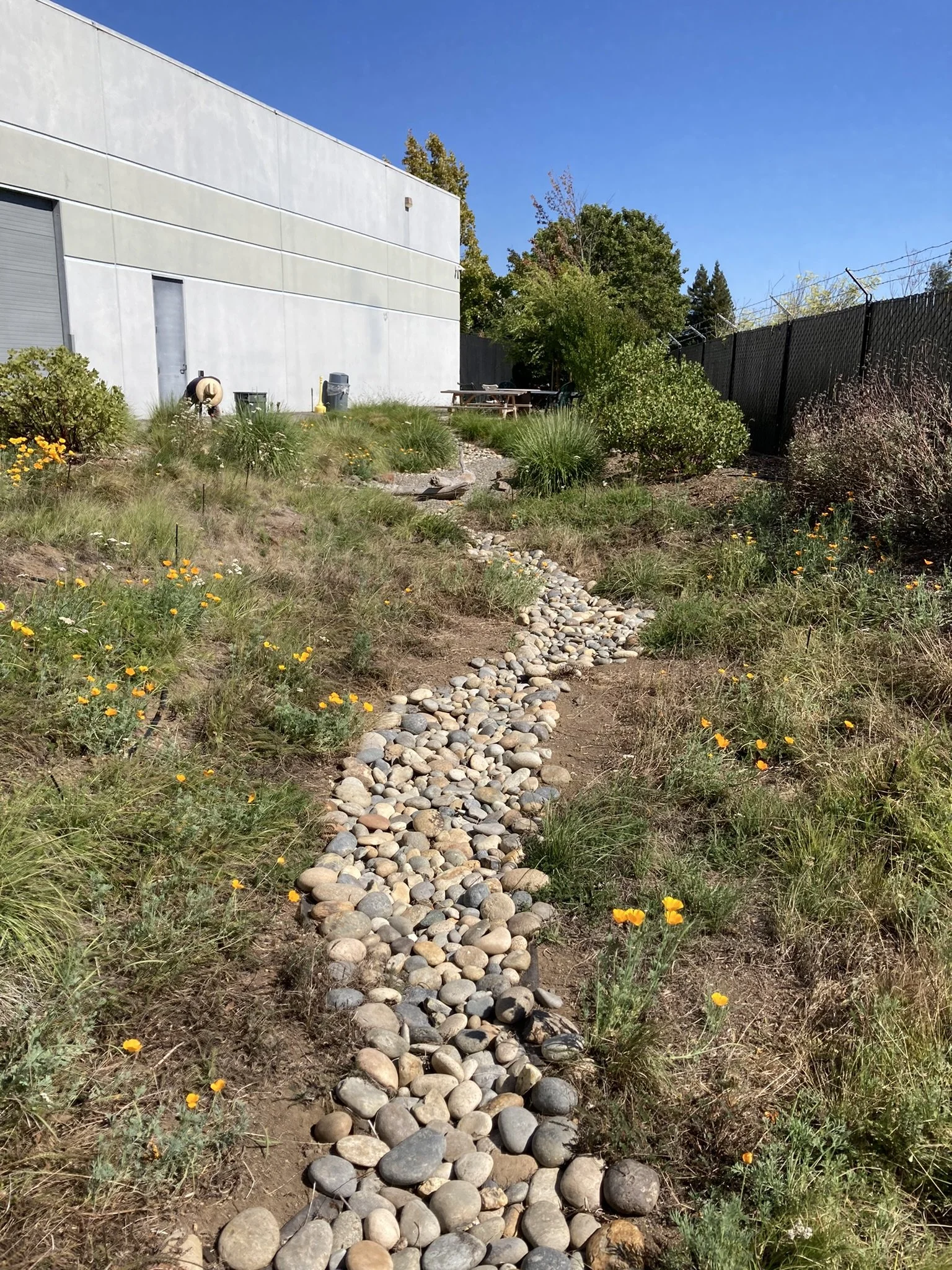 Aaron Street_05.JPEG